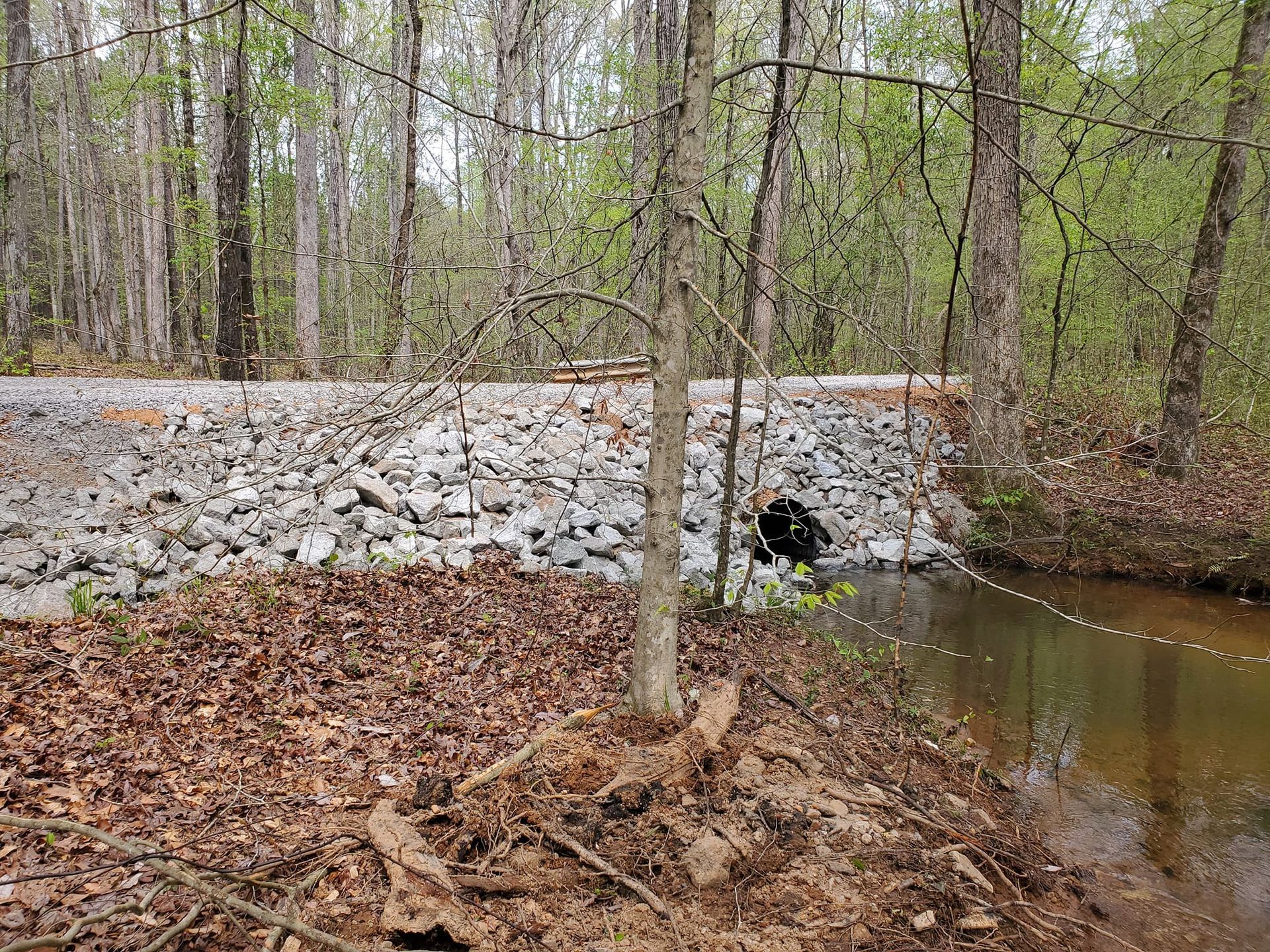 Wooded creek with a stone culvert wall and shallow water beside leaf-covered ground