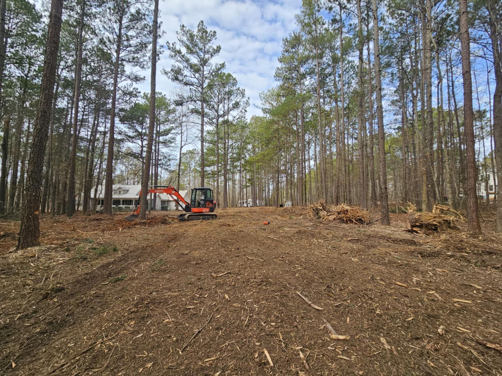 Cleared forest path with a red excavator and a small shelter among tall pine trees under a blue sky