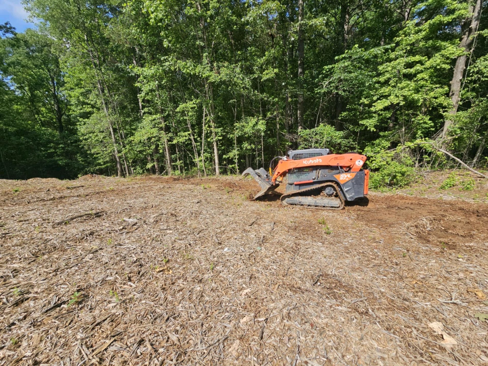 Orange skid steer clearing a muddy field at the edge of a wooded area