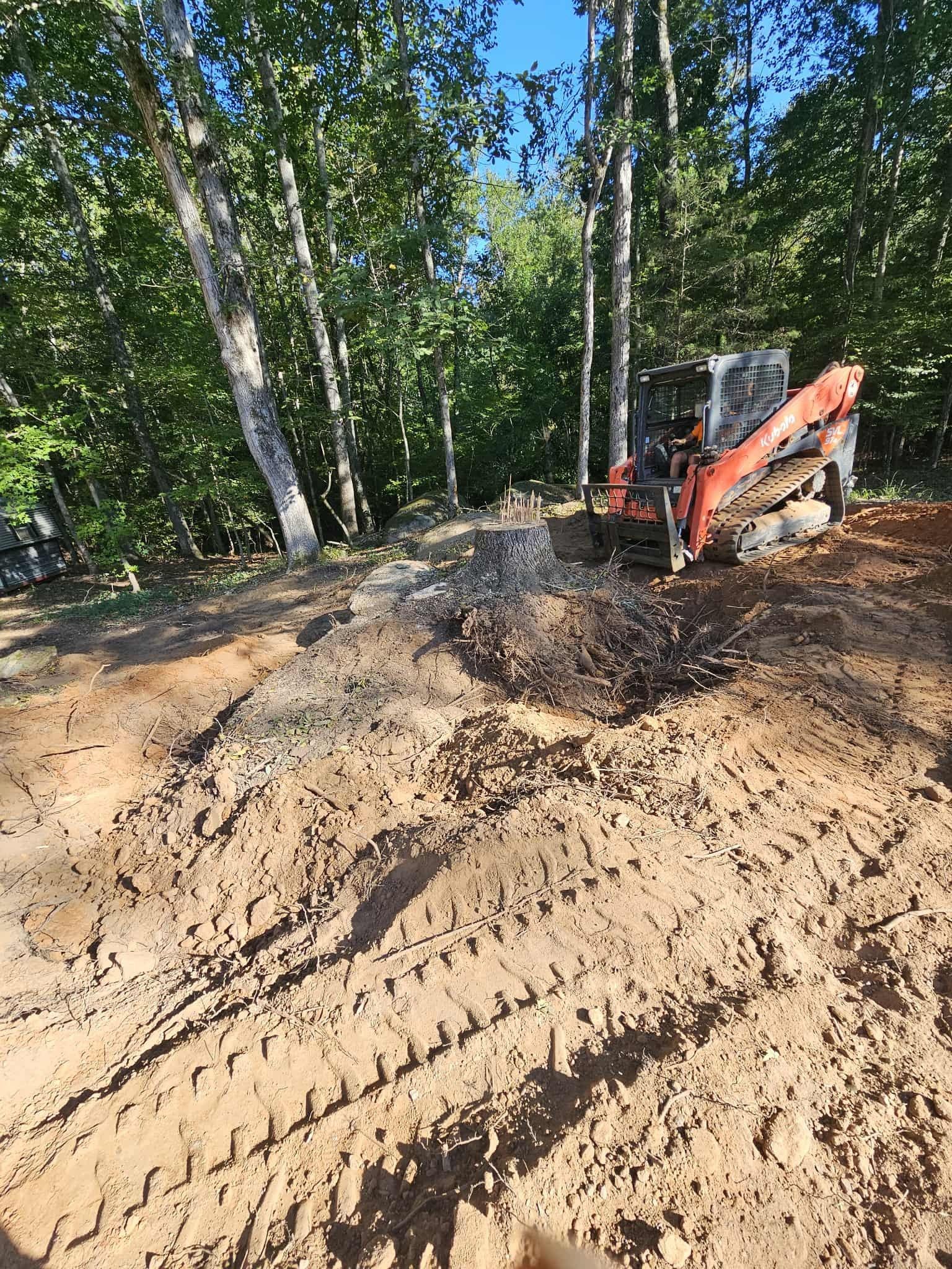 Orange skid steer pushing dirt on a muddy forest path beside tall trees and blue sky