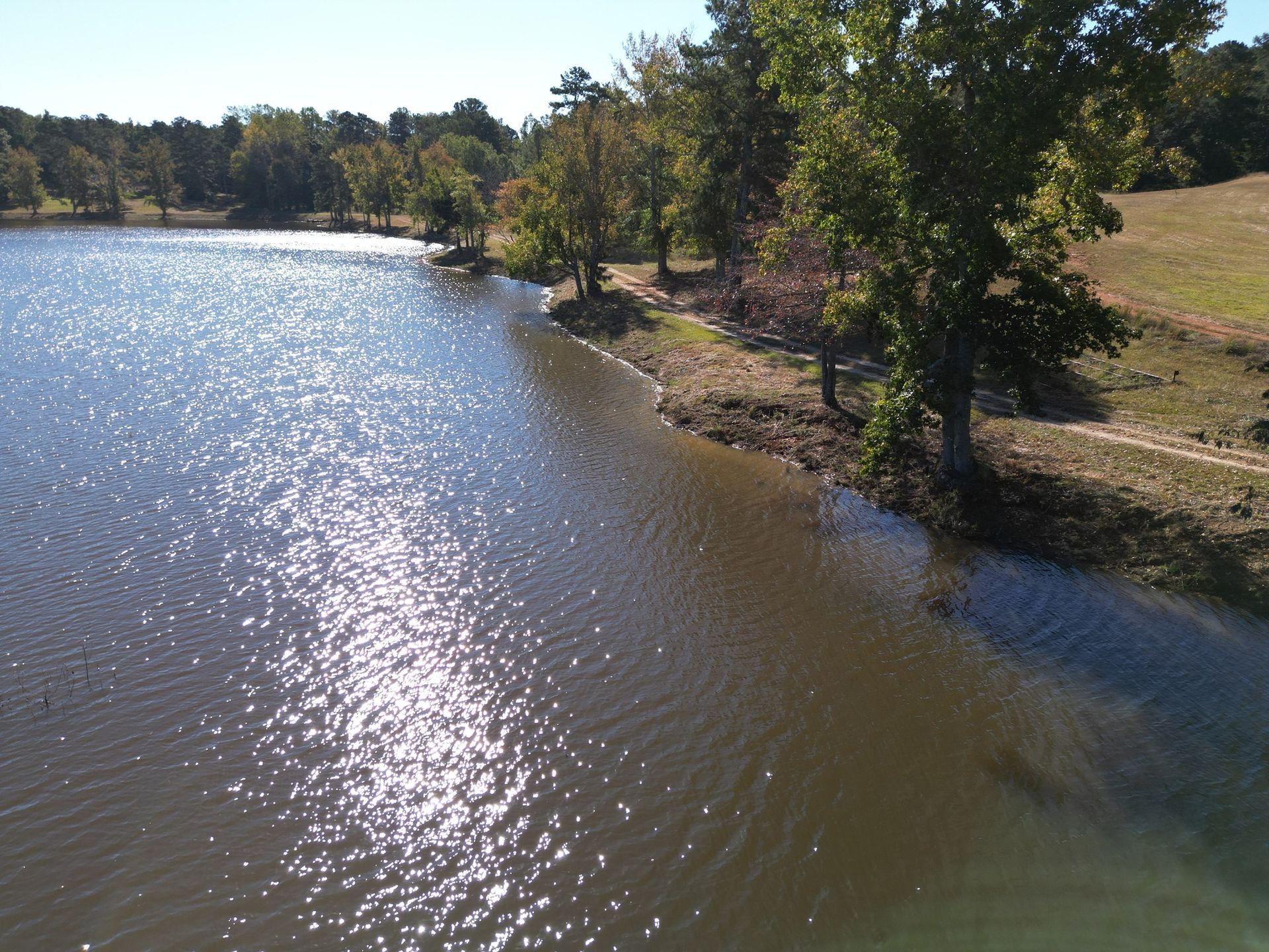 Calm lake shoreline with sparkling water, trees, and grassy bank under clear daylight