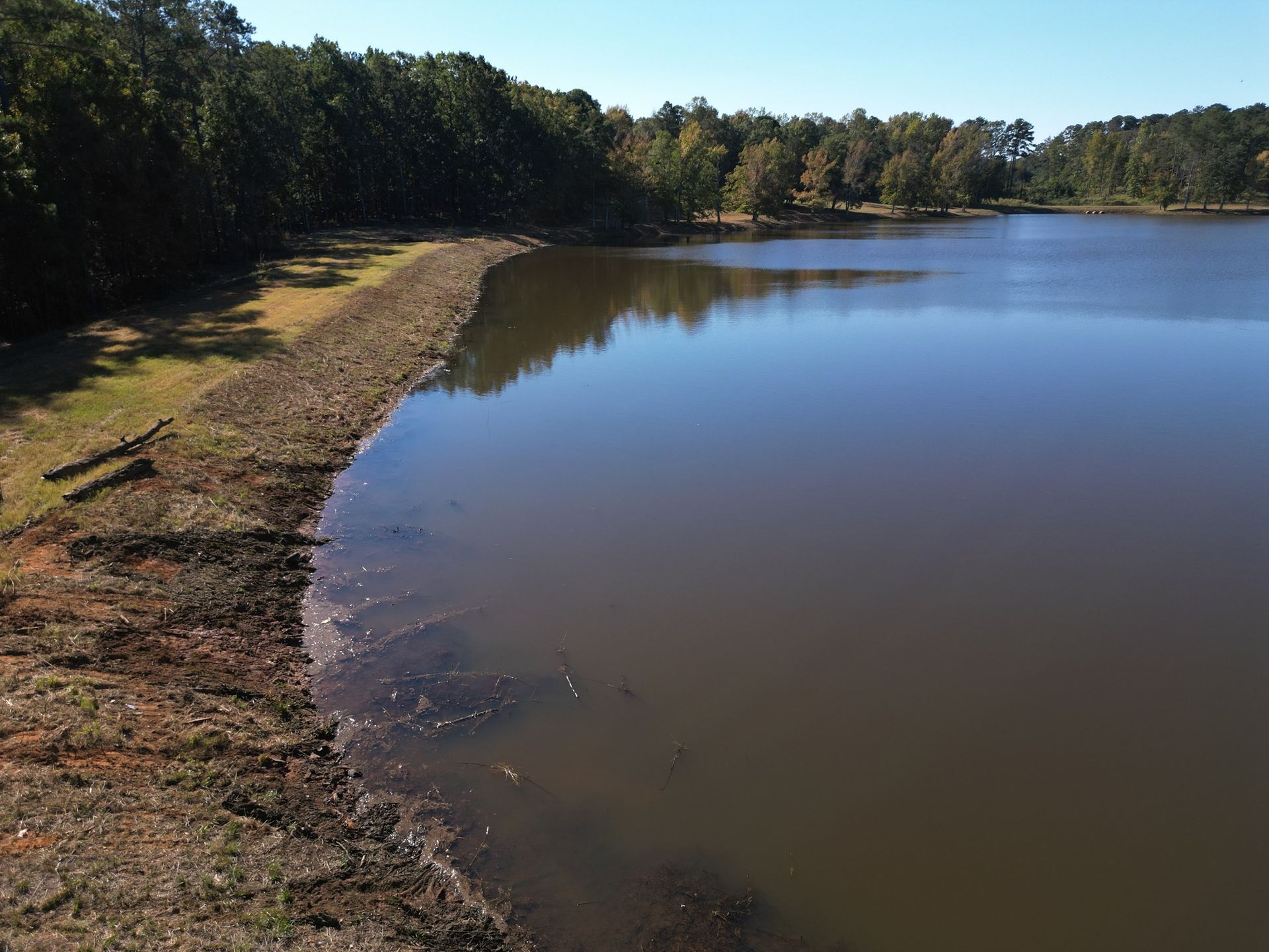 Curved muddy shoreline beside a calm brown lake, with trees lining the far bank under clear daylight.