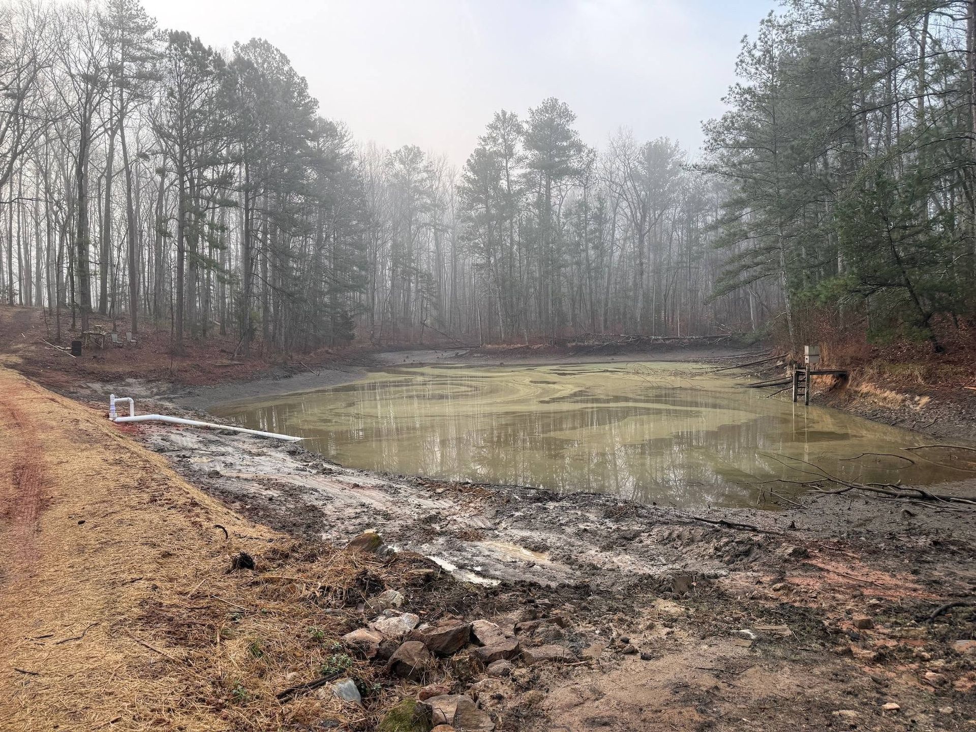 Muddy pond in a leafless forest under a gray sky, with brown banks and a small white dock at left
