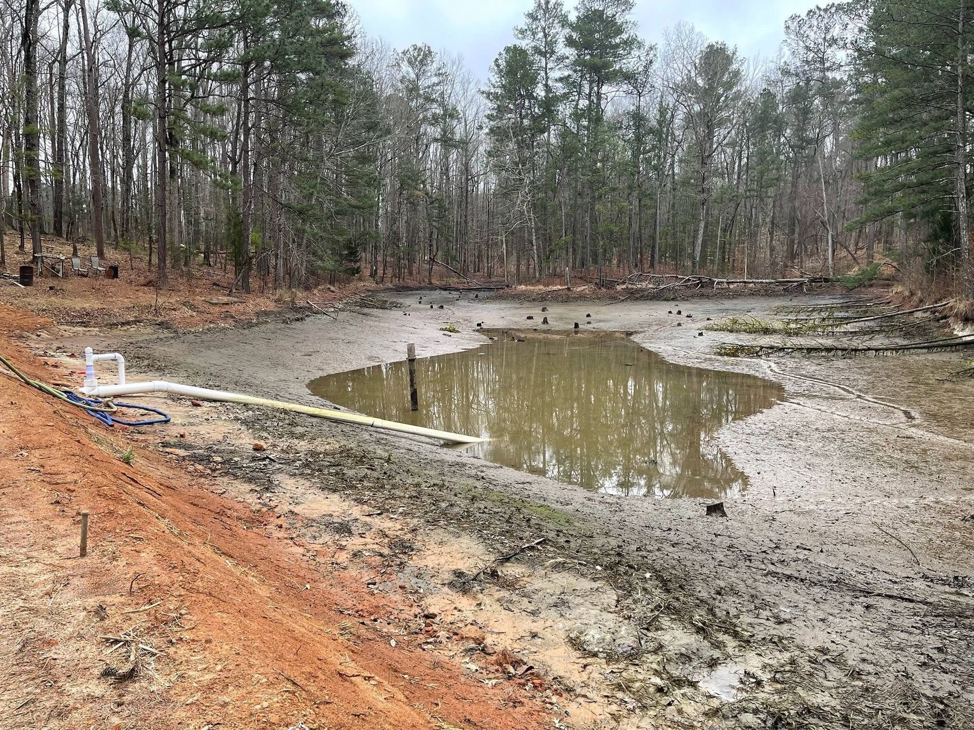 Muddy pond in a forest clearing, with orange clay banks and bare trees around it