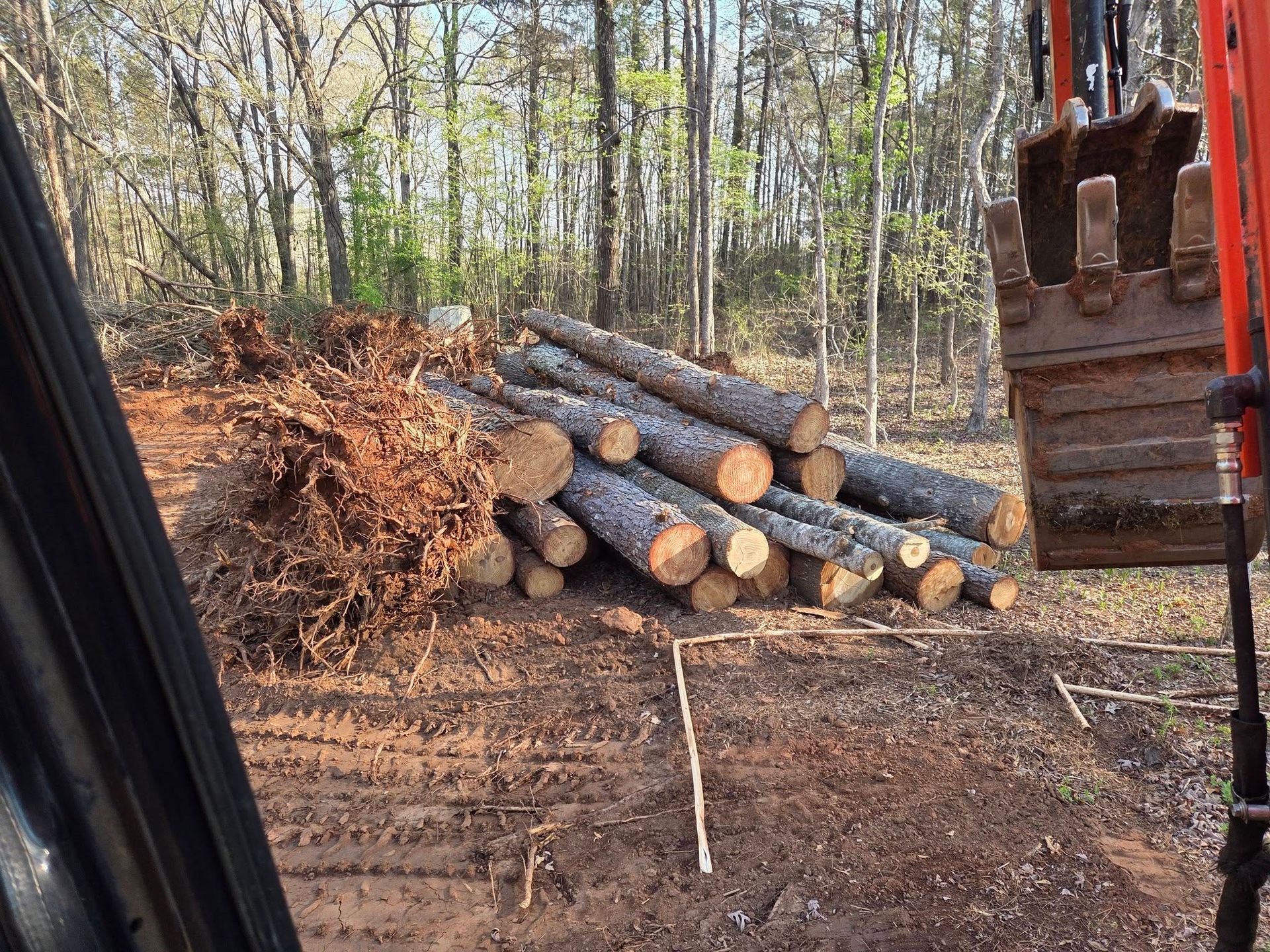Pile of cut logs and wood chips in a forest clearing, viewed from inside heavy equipment.