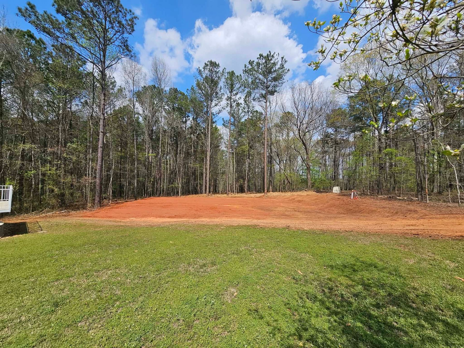 Grassy field with a red dirt mound and pine trees under a partly cloudy blue sky