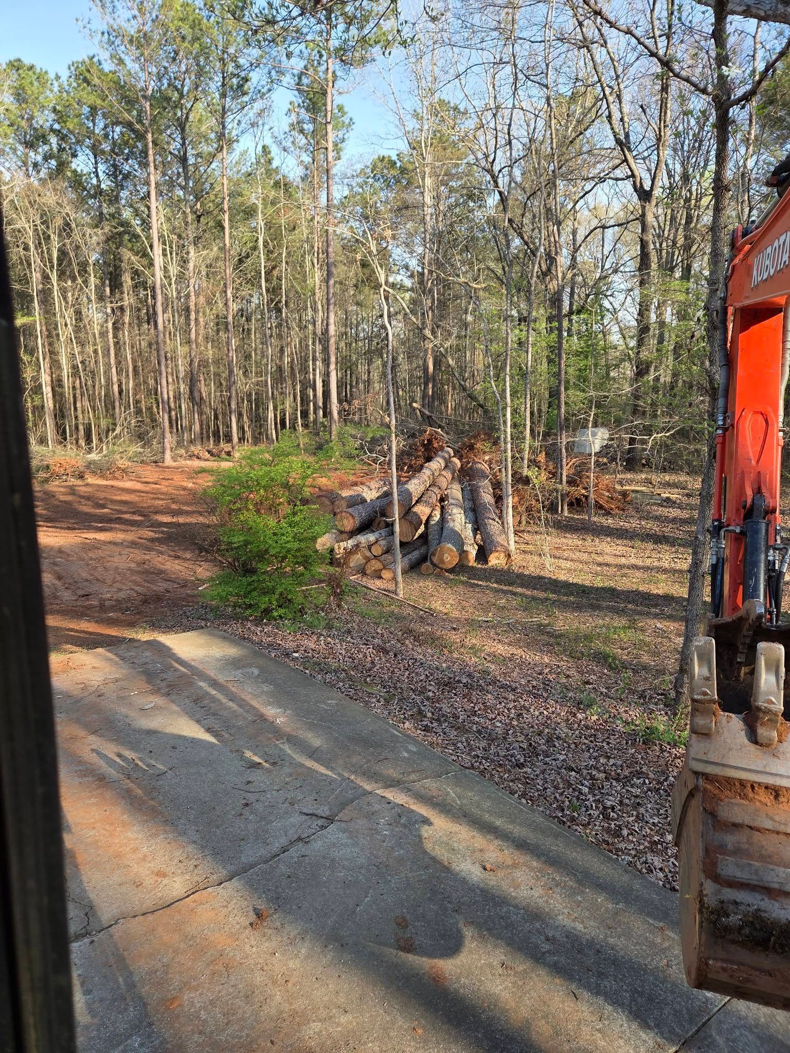 Forest road with a red excavator beside a wooded clearing and cut logs in sunlight