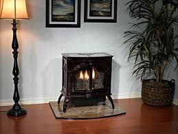 Cozy living room with a lit electric fireplace, floor lamp, potted plant, and framed wall art.