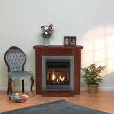 Cozy living room with lit fireplace, blue chair, potted plant, and flowers on the mantel