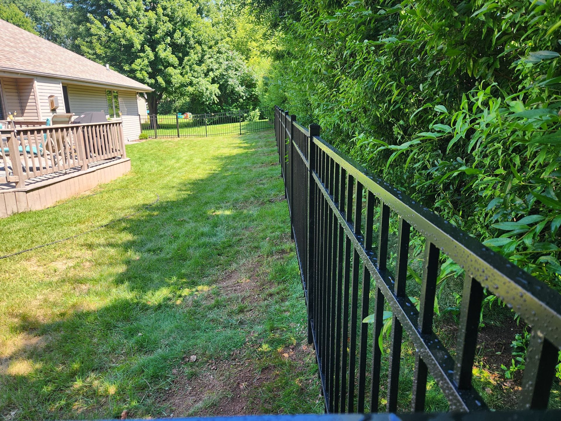 A black metal fence runs along the edge of a grassy yard next to a house with a wooden deck and dense green foliage.