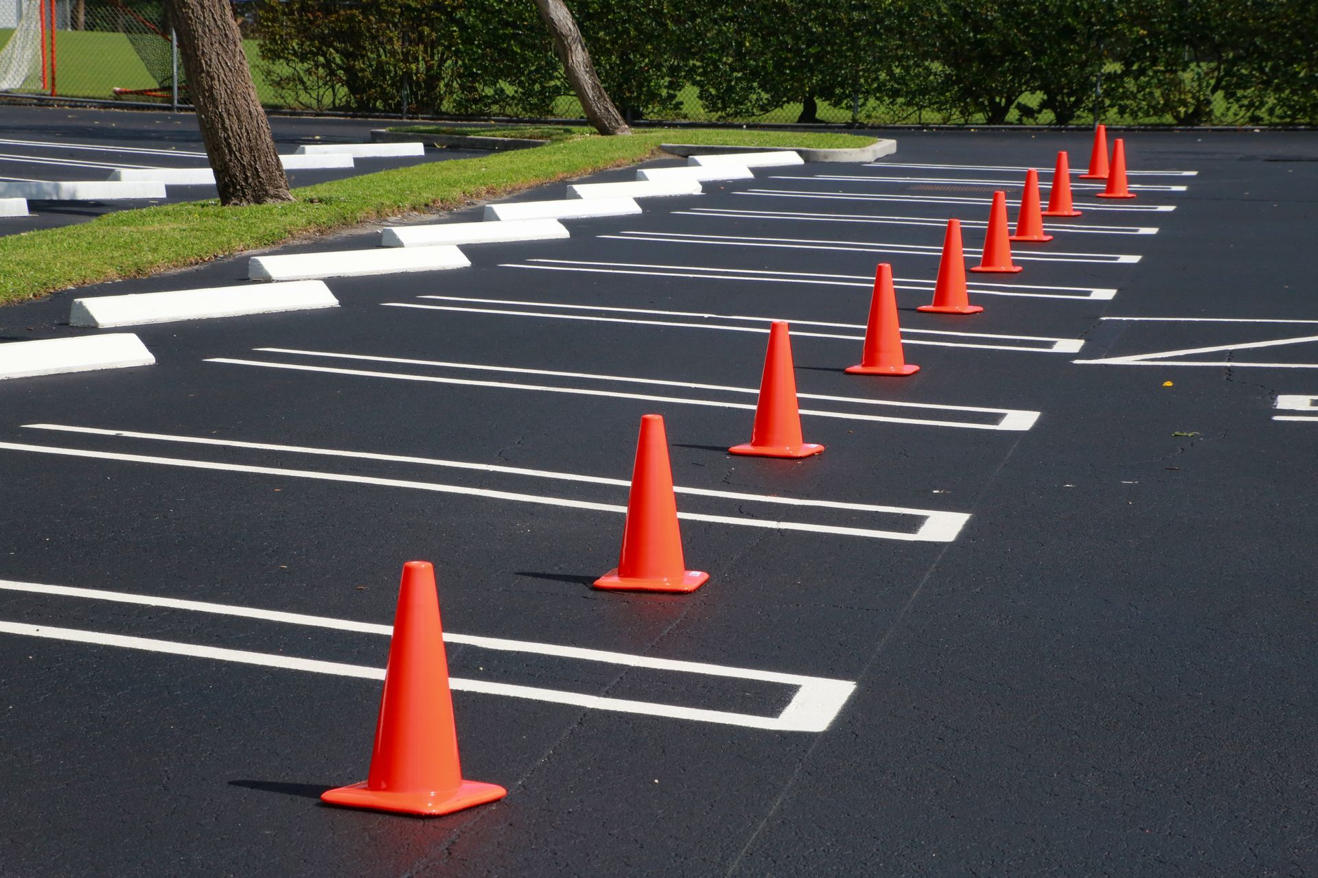 Orange traffic cones lining a parking lot lane with white painted markings