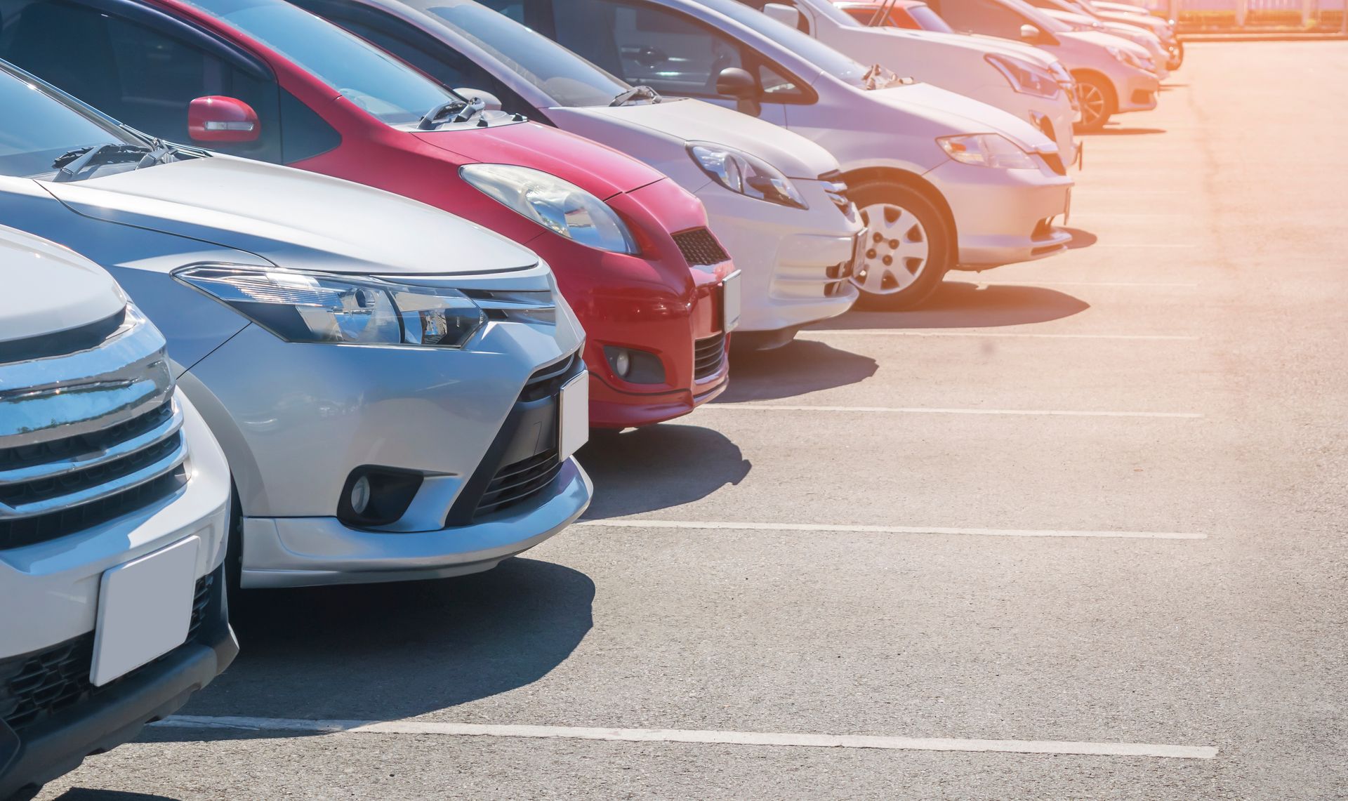 Rows of parked cars in a sunlit parking lot, including white, blue, and red vehicles. Rows of parked cars in a sunlit parking lot, including white, blue, and red vehicles.