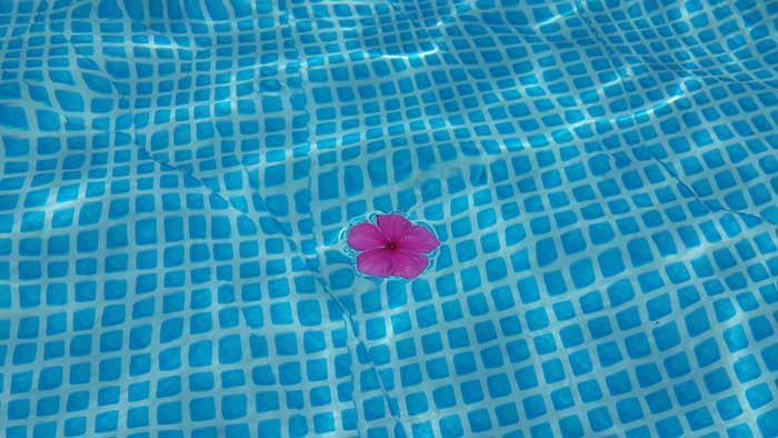 piscina homeschooling