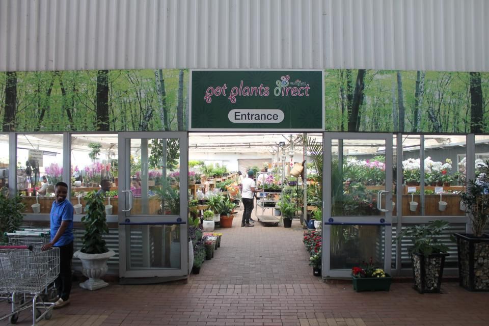 Flower Market Multiflora Mall Johannesburg
