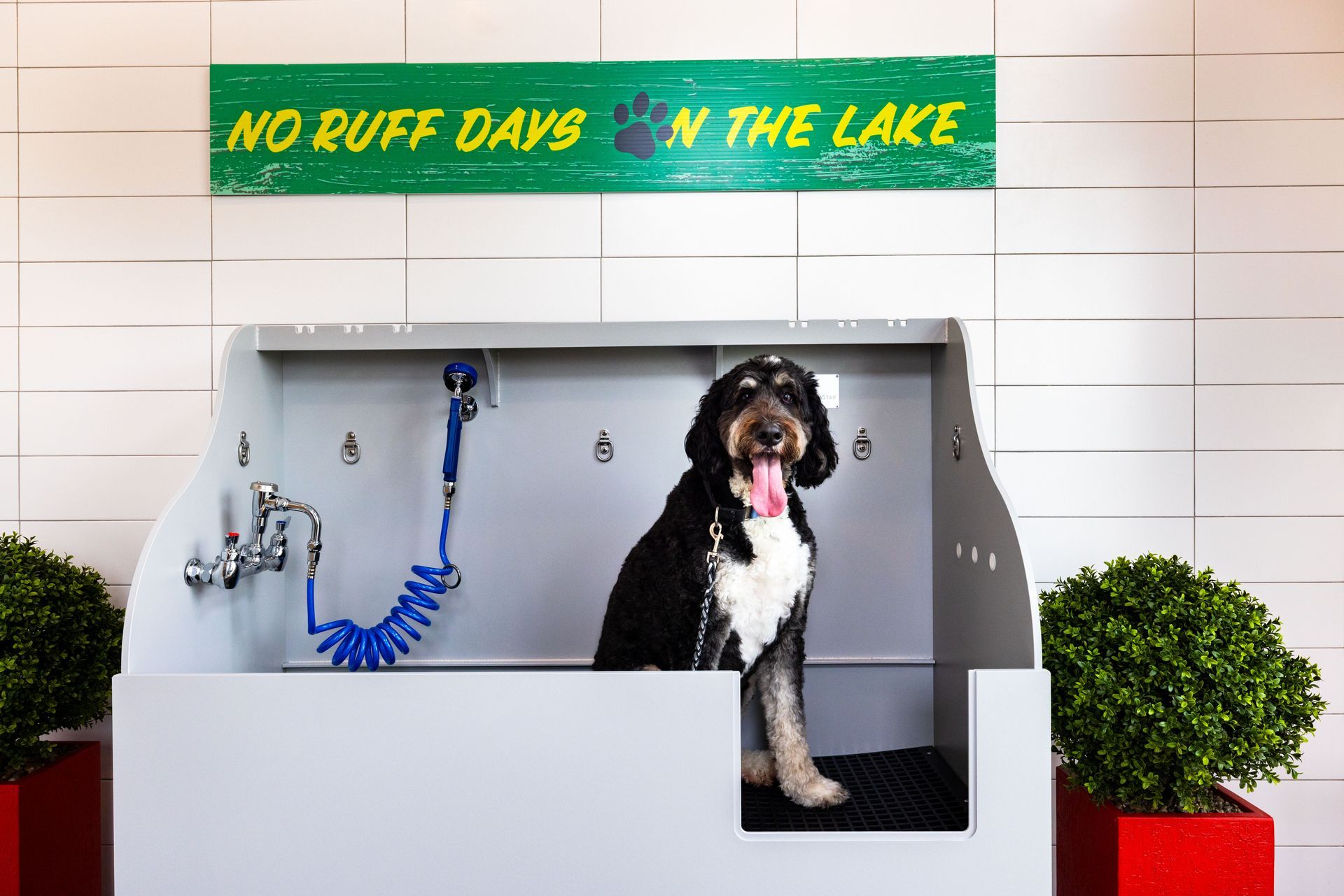 Pet spa at Silver Collection at Saxony