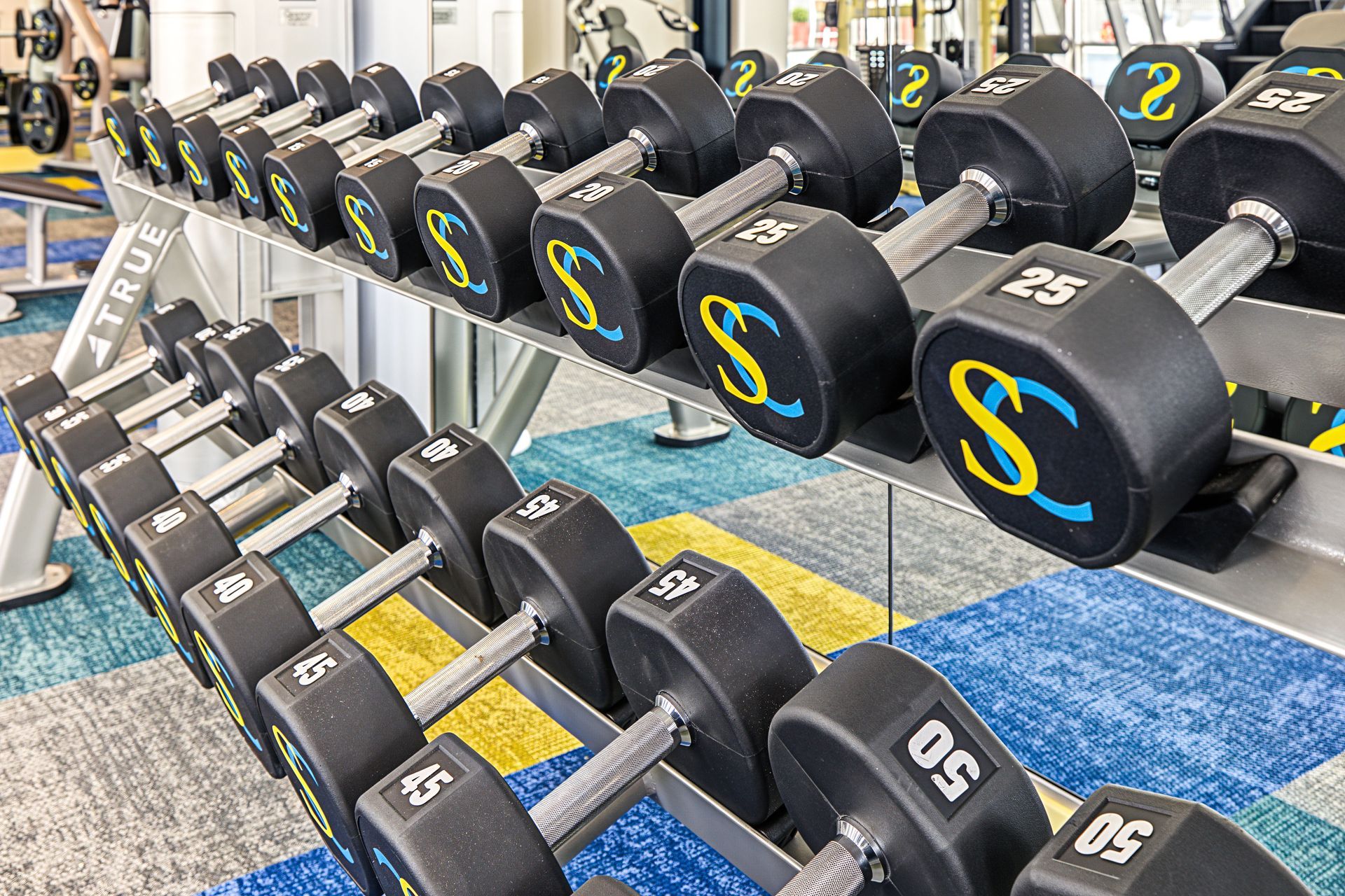 Free weights at Silver Collection at Saxony Fitness Center