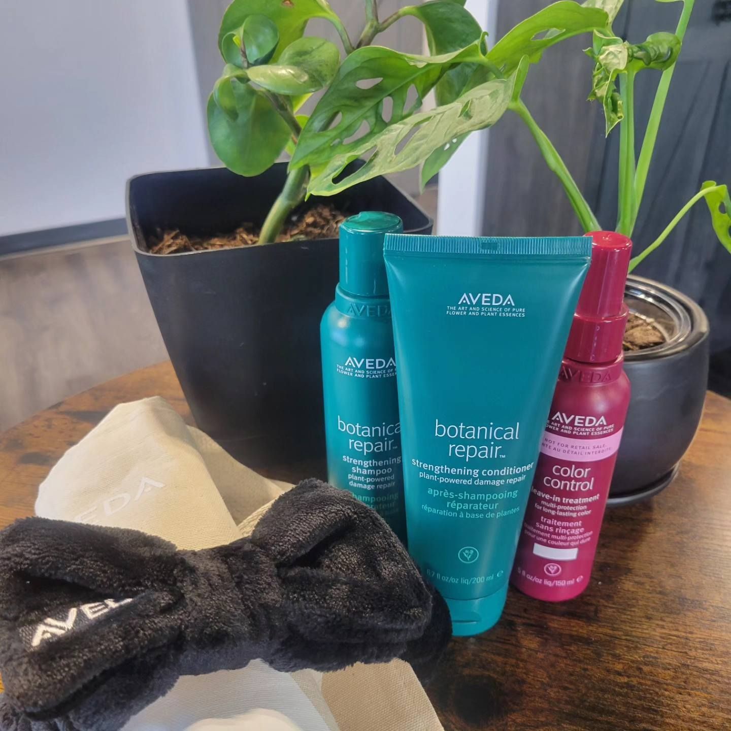 Aveda haircare products—botanical repair treatment, conditioner, and color control spray—with a black headband by a plant.