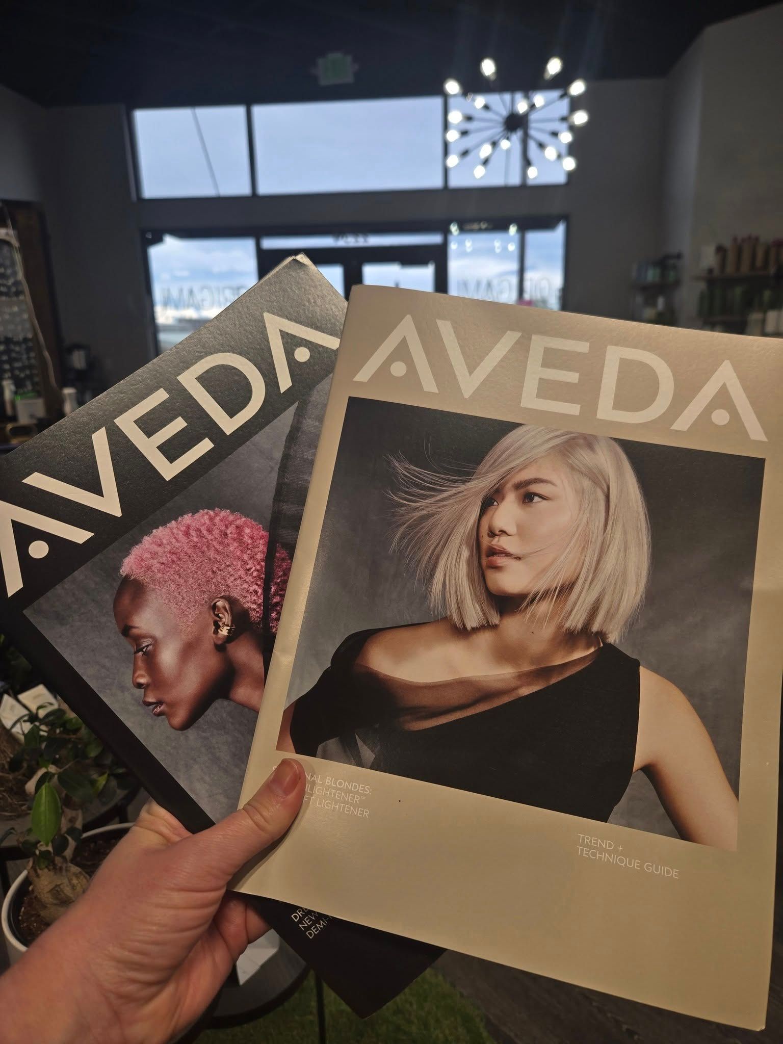 A hand holds two Aveda brochures featuring portraits of models with distinct hairstyles, set in a hair salon.