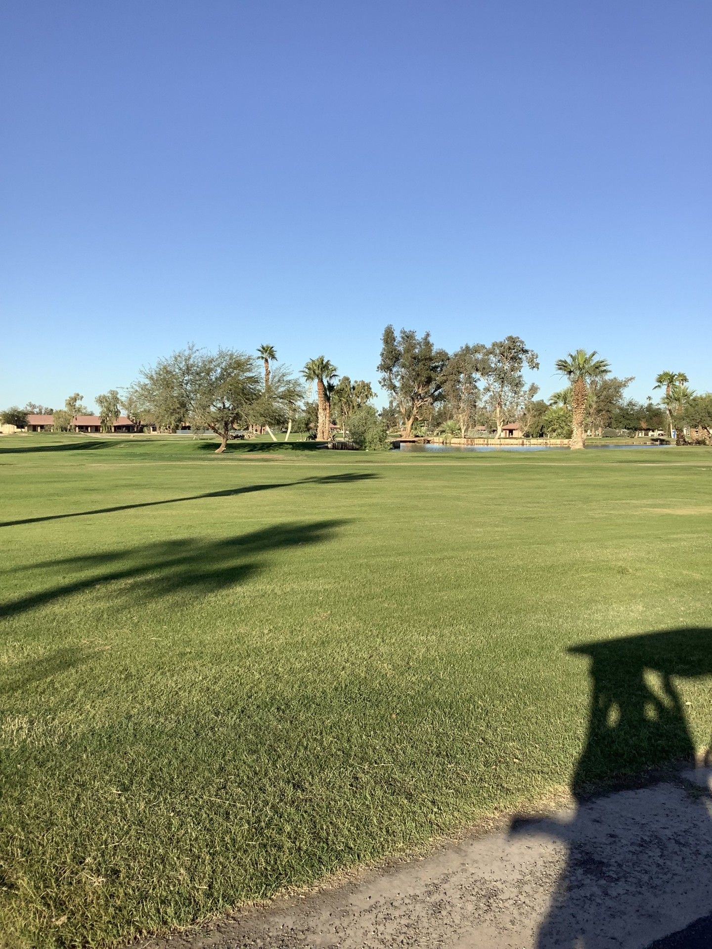 Green golf course under a clear blue sky, with trees and a golf cart shadow.