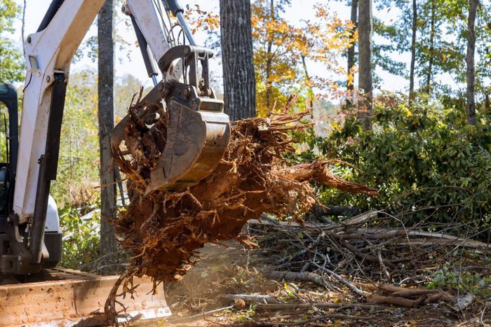 An excavator is scooping up a tree stump in the woods.