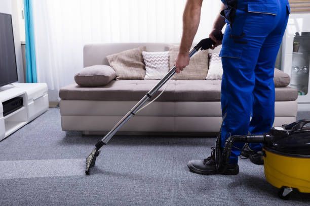 Hand spraying Impact pet stain and odor remover against a blue backdrop.