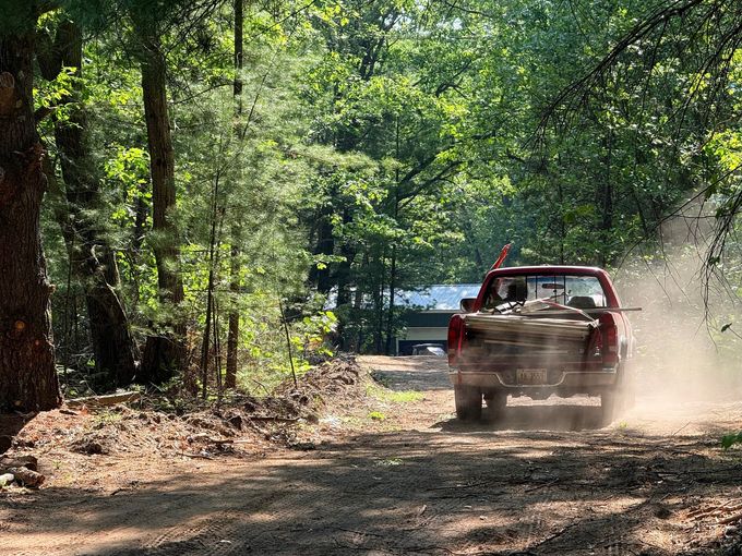 Red pickup truck driving on a dusty forest road with sunlight filtering through trees