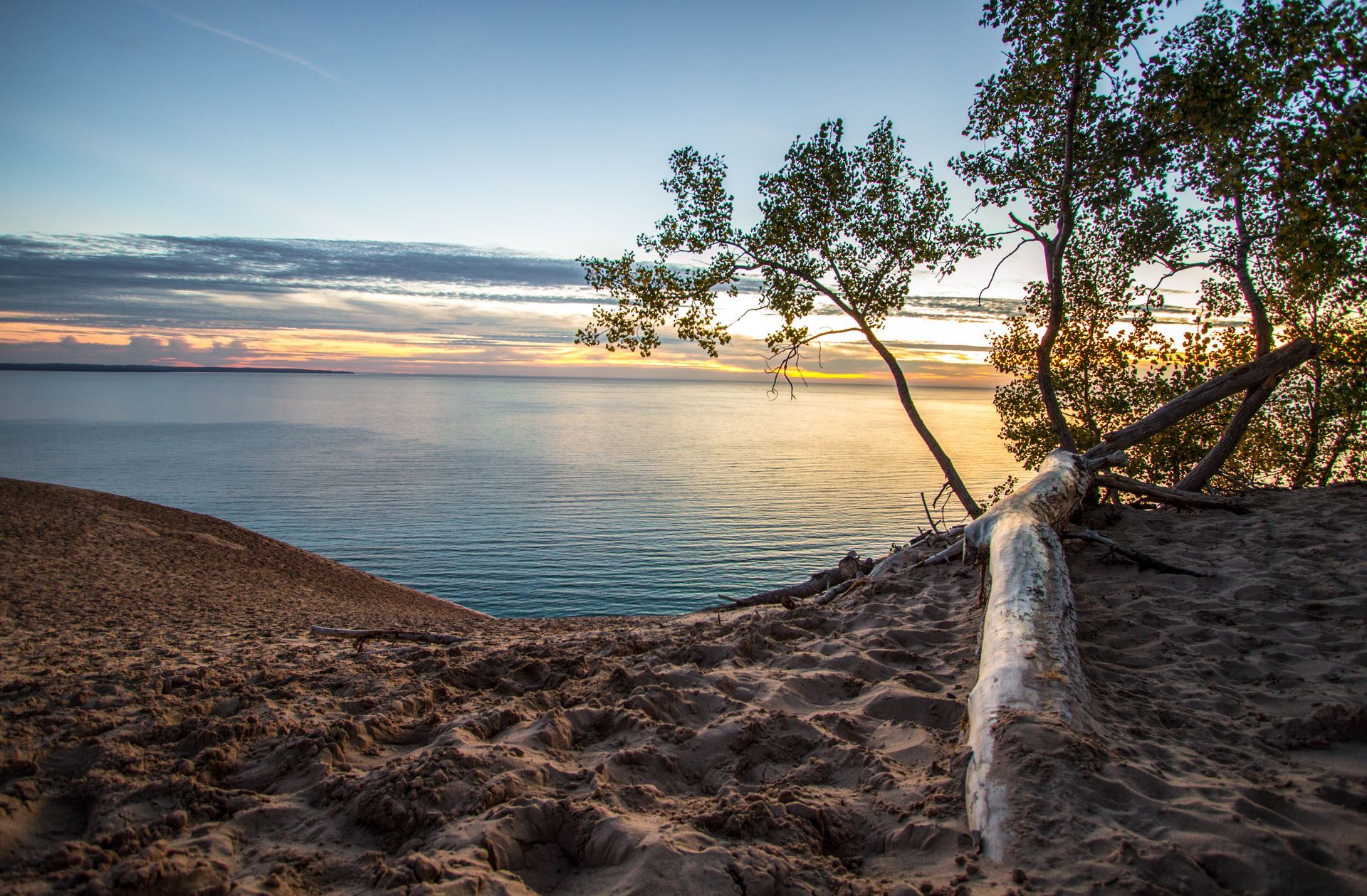 Rocky shoreline at sunset with calm water, clouds, and a leaning tree in the foreground