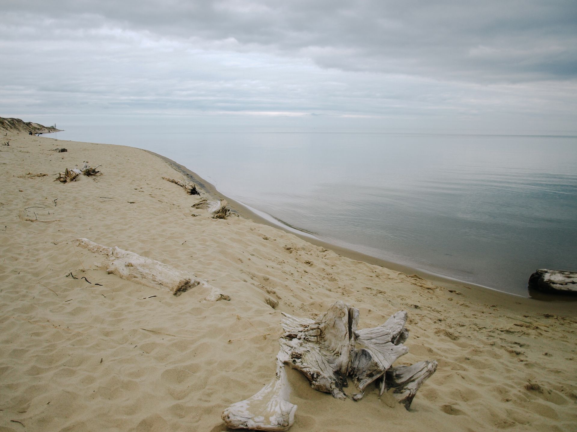Sandy beach with driftwood beside calm gray water under an overcast sky