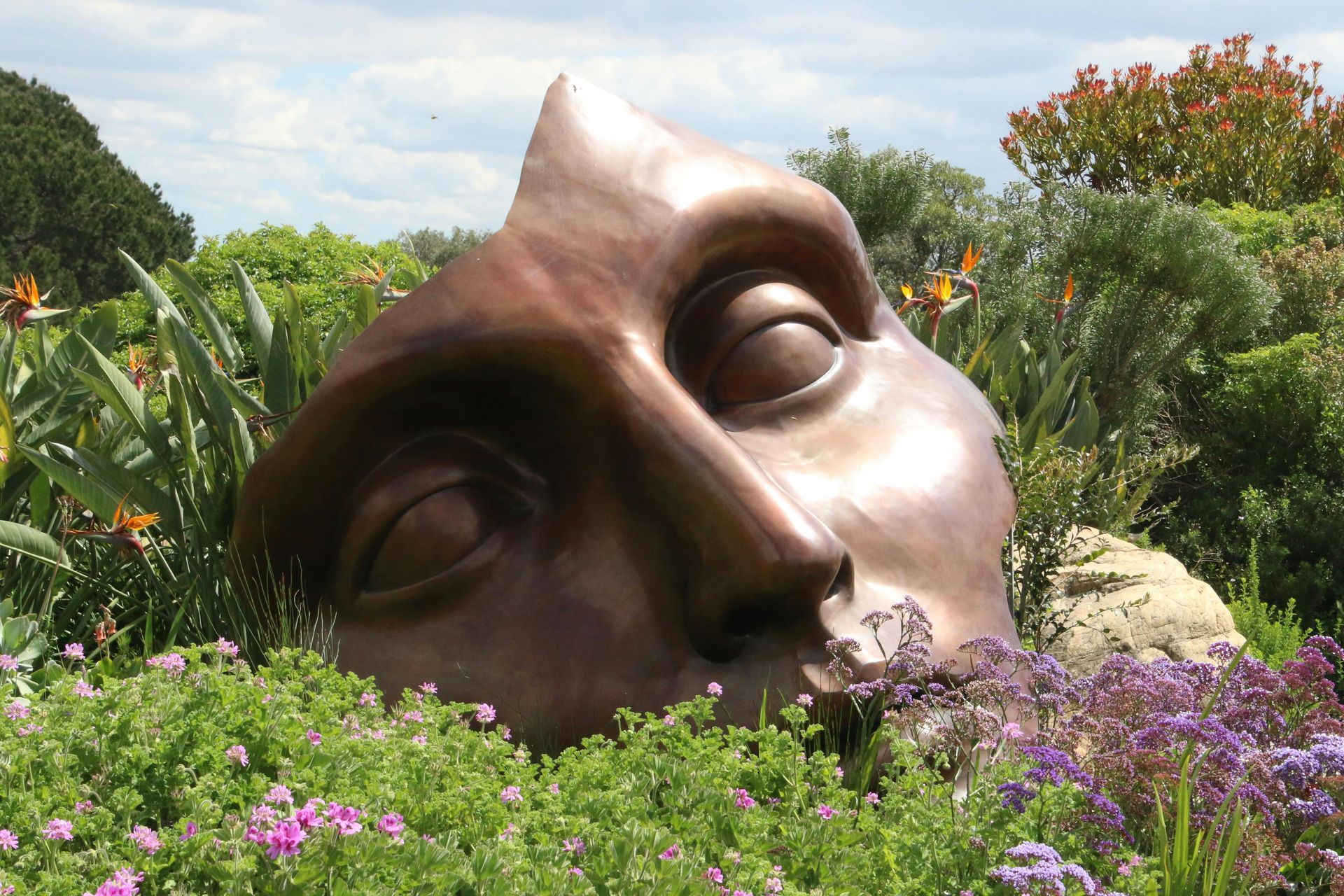 Large bronze face sculpture half-buried in a garden, surrounded by green plants and purple flowers