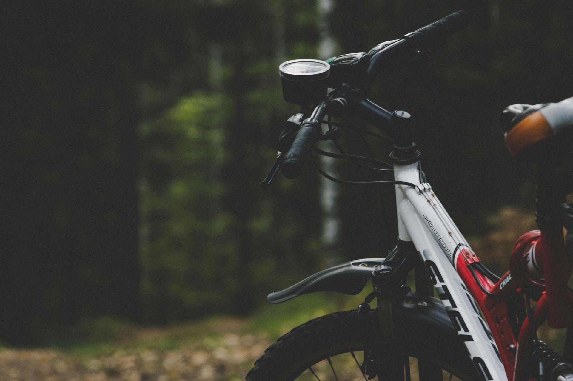 White bicycle with red accents on a forest path, close-up view