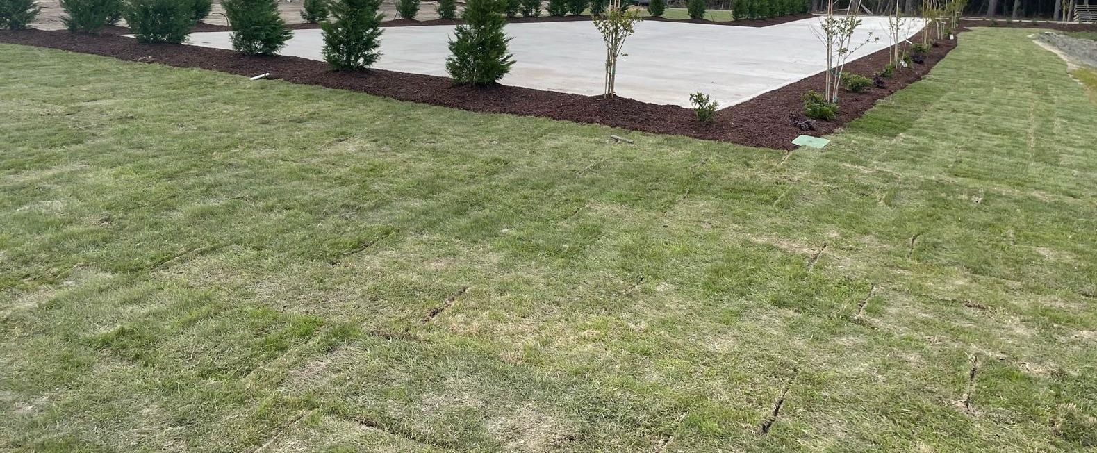 Lawn and landscaping: green grass, dark mulch border, small trees along concrete area.