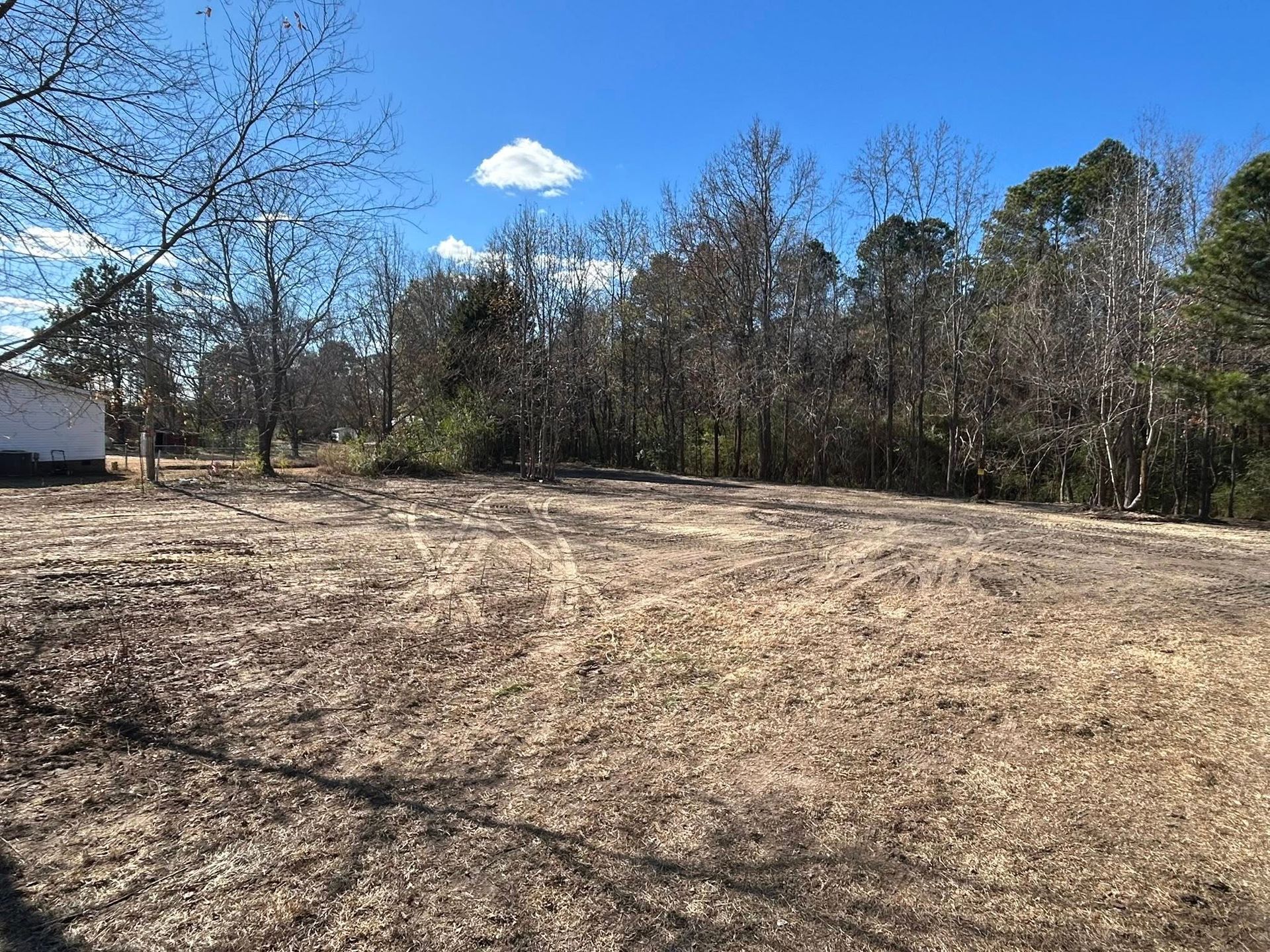 Open, grassy lot with brown brush under a clear blue sky, surrounded by leafless trees and a few evergreen trees.