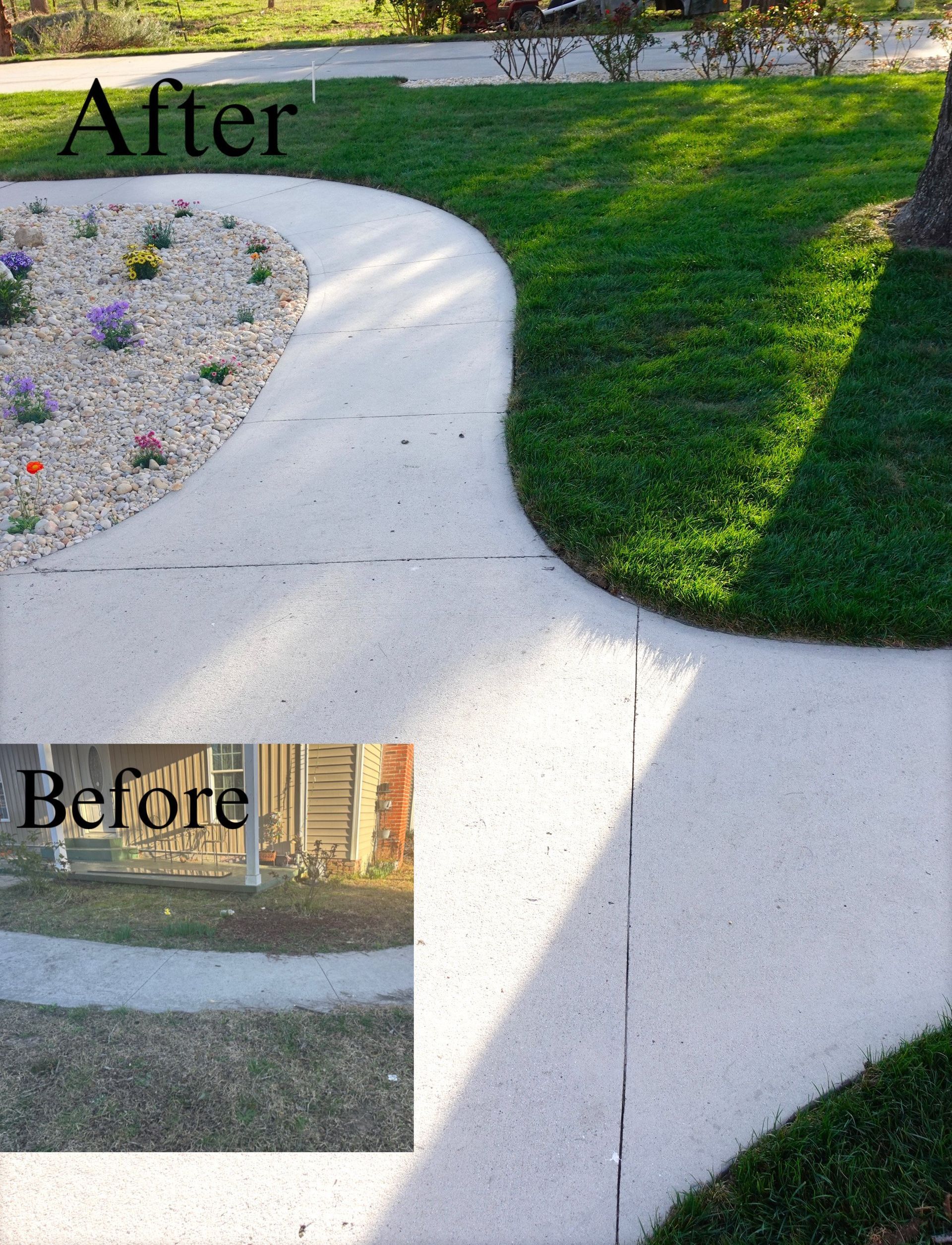 Comparison of a concrete walkway before (dull) and after (bright), with green lawn and flower bed.