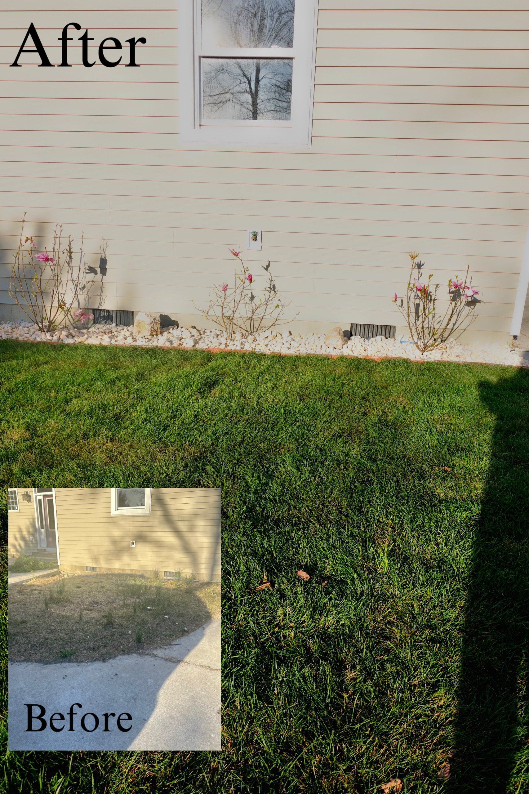 Comparison of a house's siding before and after cleaning. The 