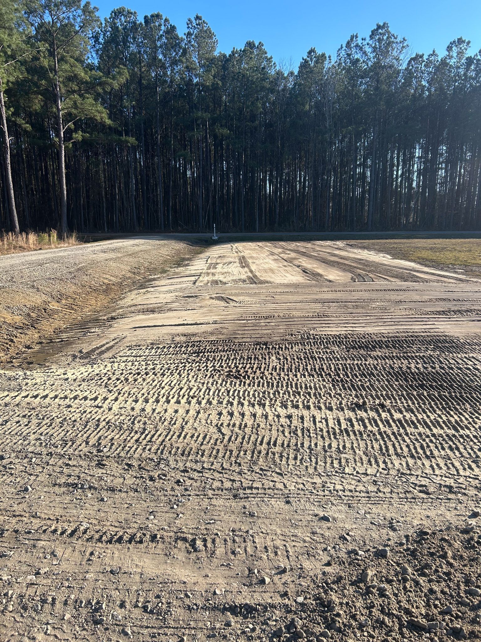 Dirt road with tire tracks, leading to a treeline under a blue sky.