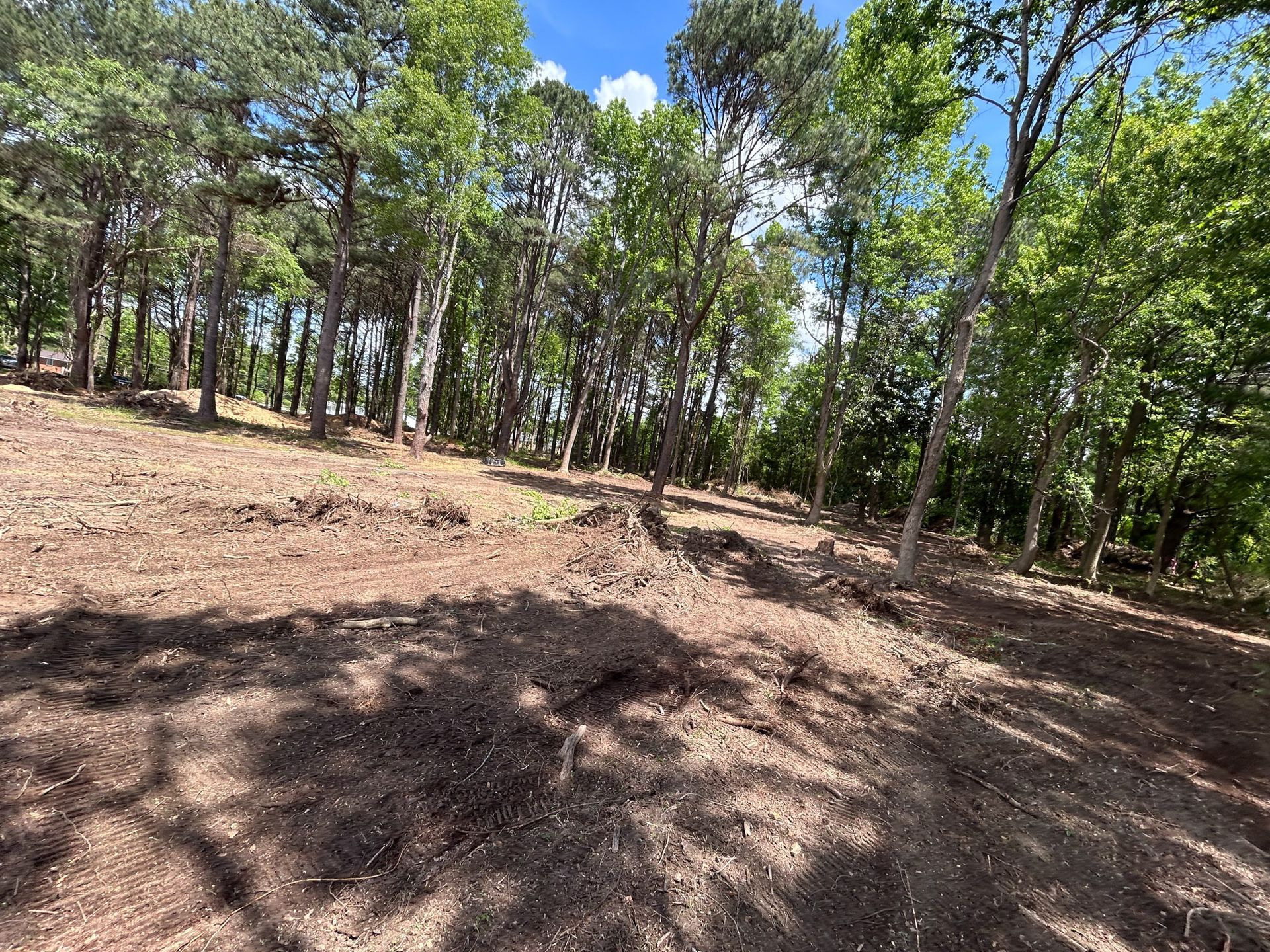 Cleared land in a forest with dirt foreground, trees, and a blue sky with clouds in the background.