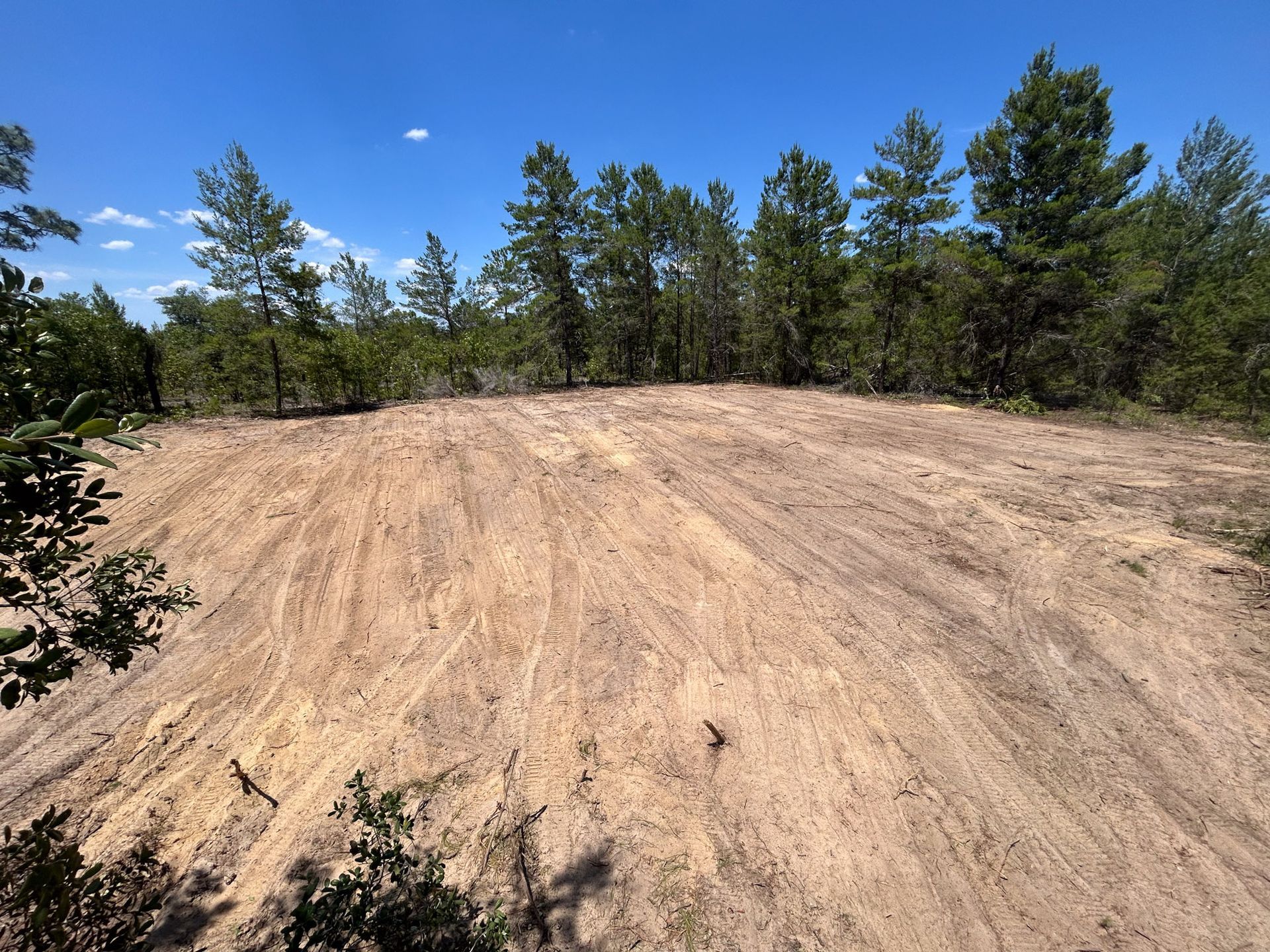 Cleared sandy land on a slight rise, surrounded by a line of green trees against a bright blue sky.