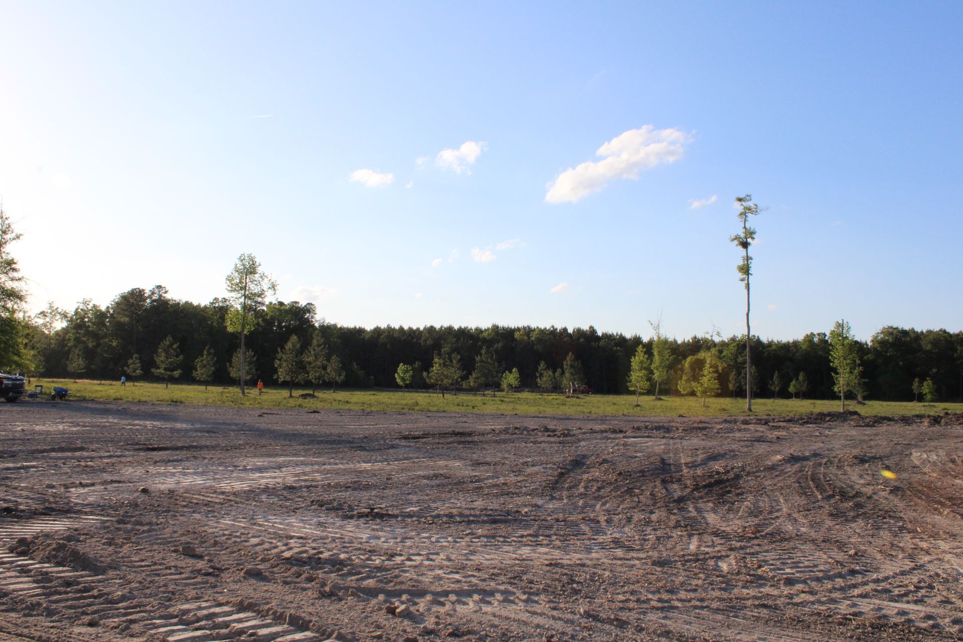 Open dirt field with a line of trees under a clear blue sky at sunset