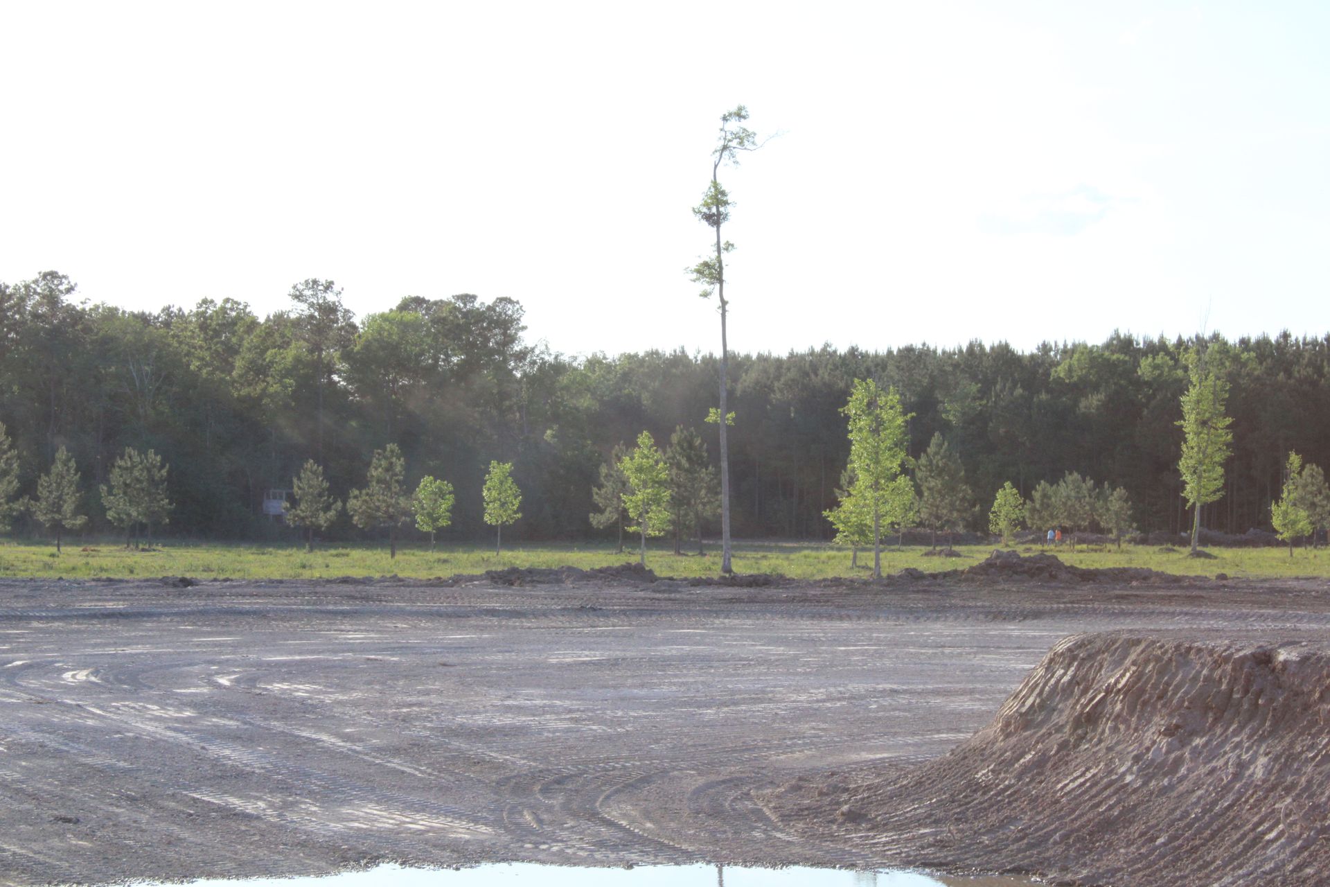 Wide dirt clearing beside a tree line, with a tall pole and small mound in the foreground at sunset.