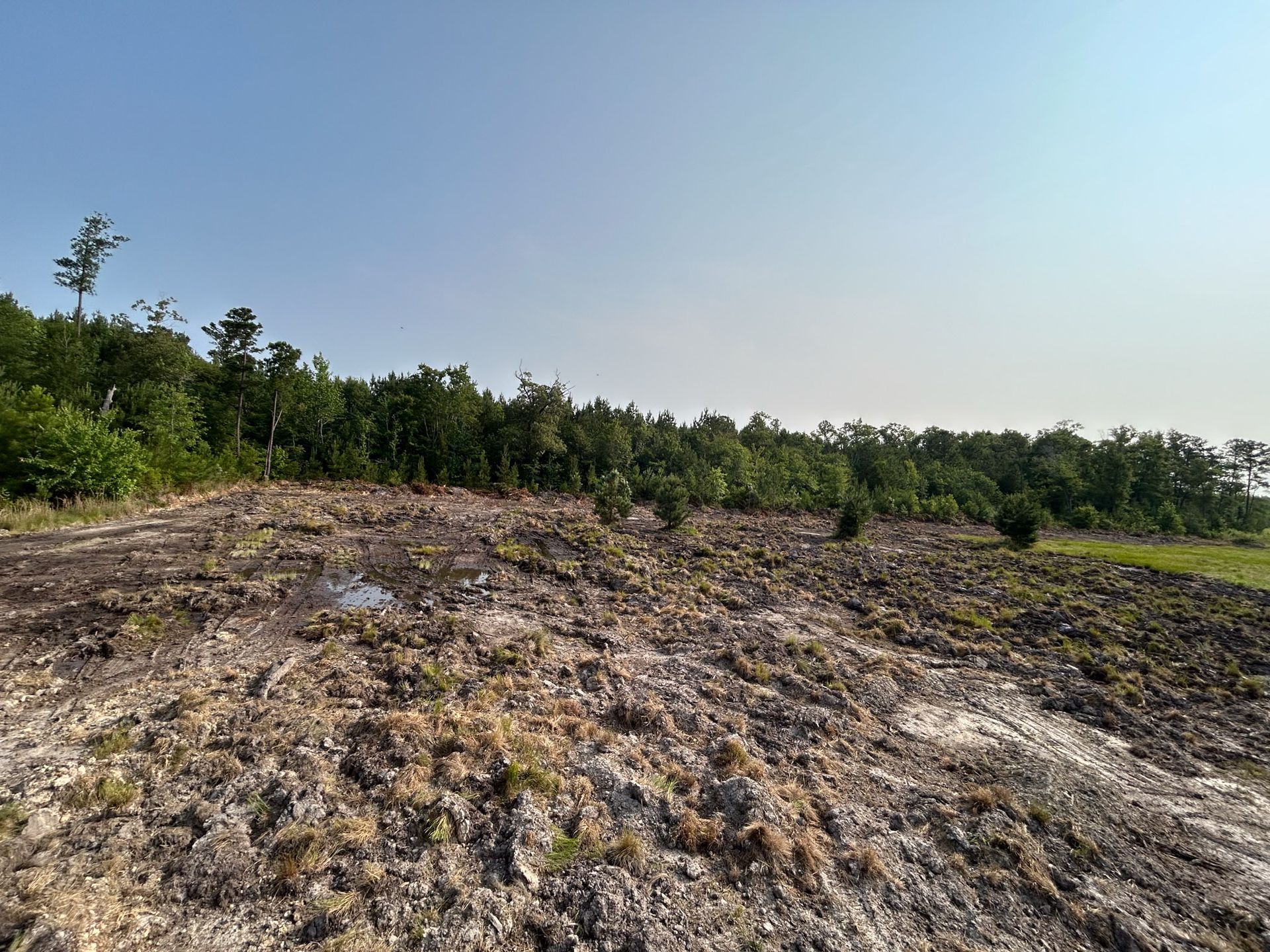 Clearcut brown land in foreground with trees lining horizon under blue sky.