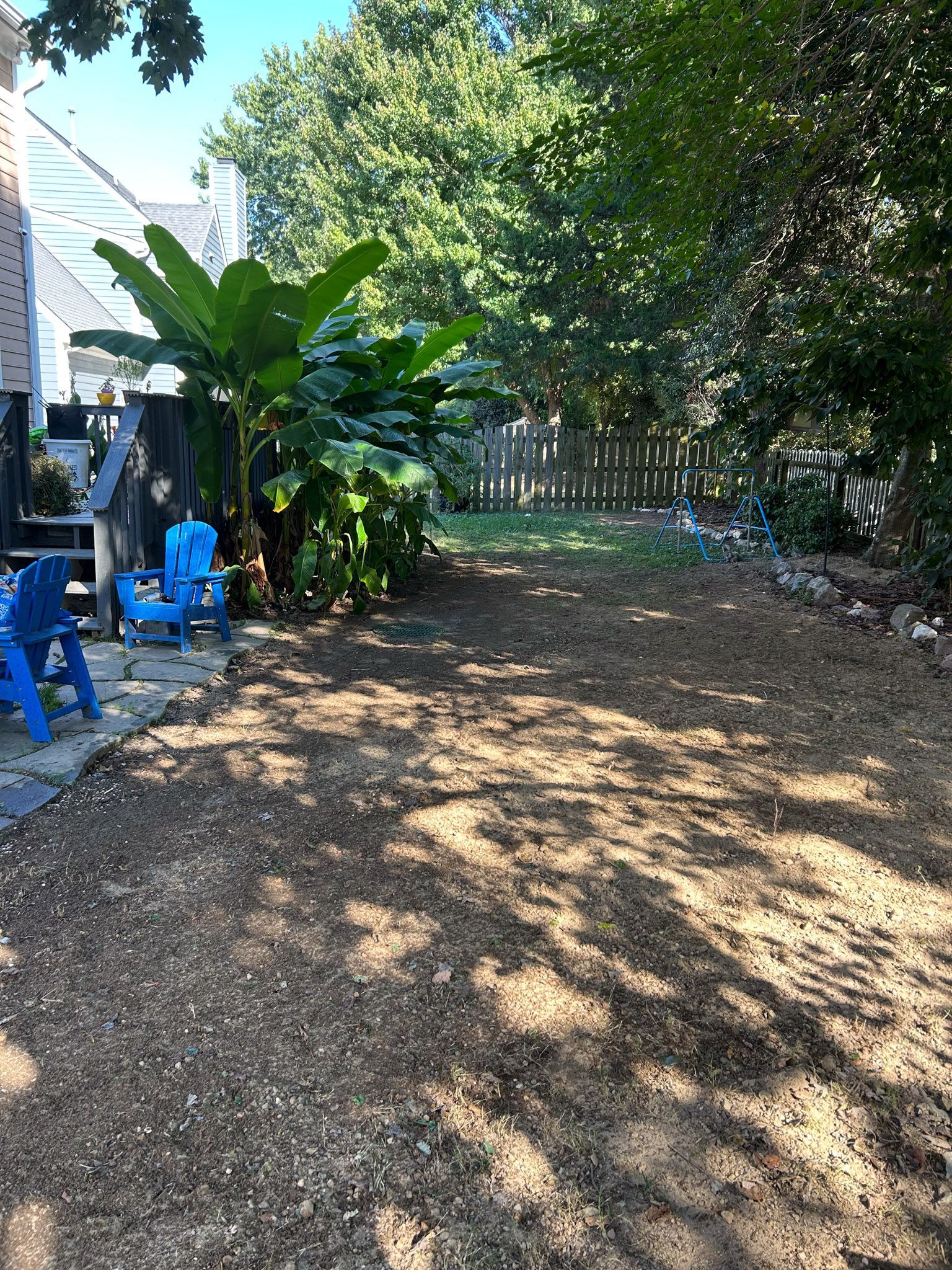 Backyard with blue chairs, banana tree, gravel, and fence.