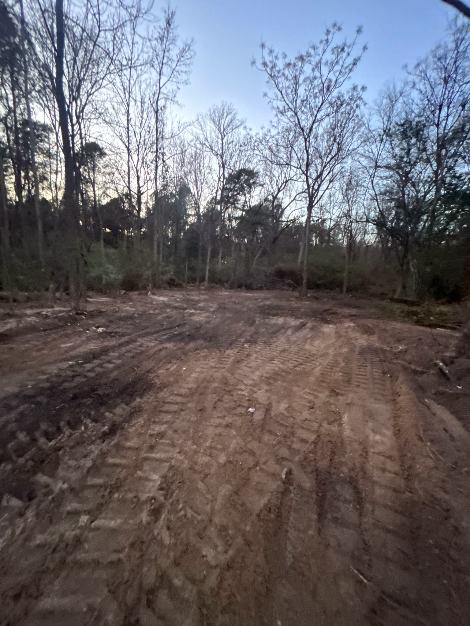 Dirt clearing with tire tracks, trees in the background under a blue sky.