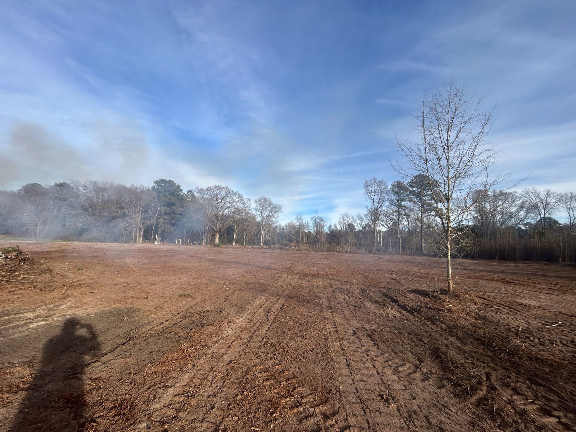 Cleared land with bare trees under a blue sky, smoke visible in the background.