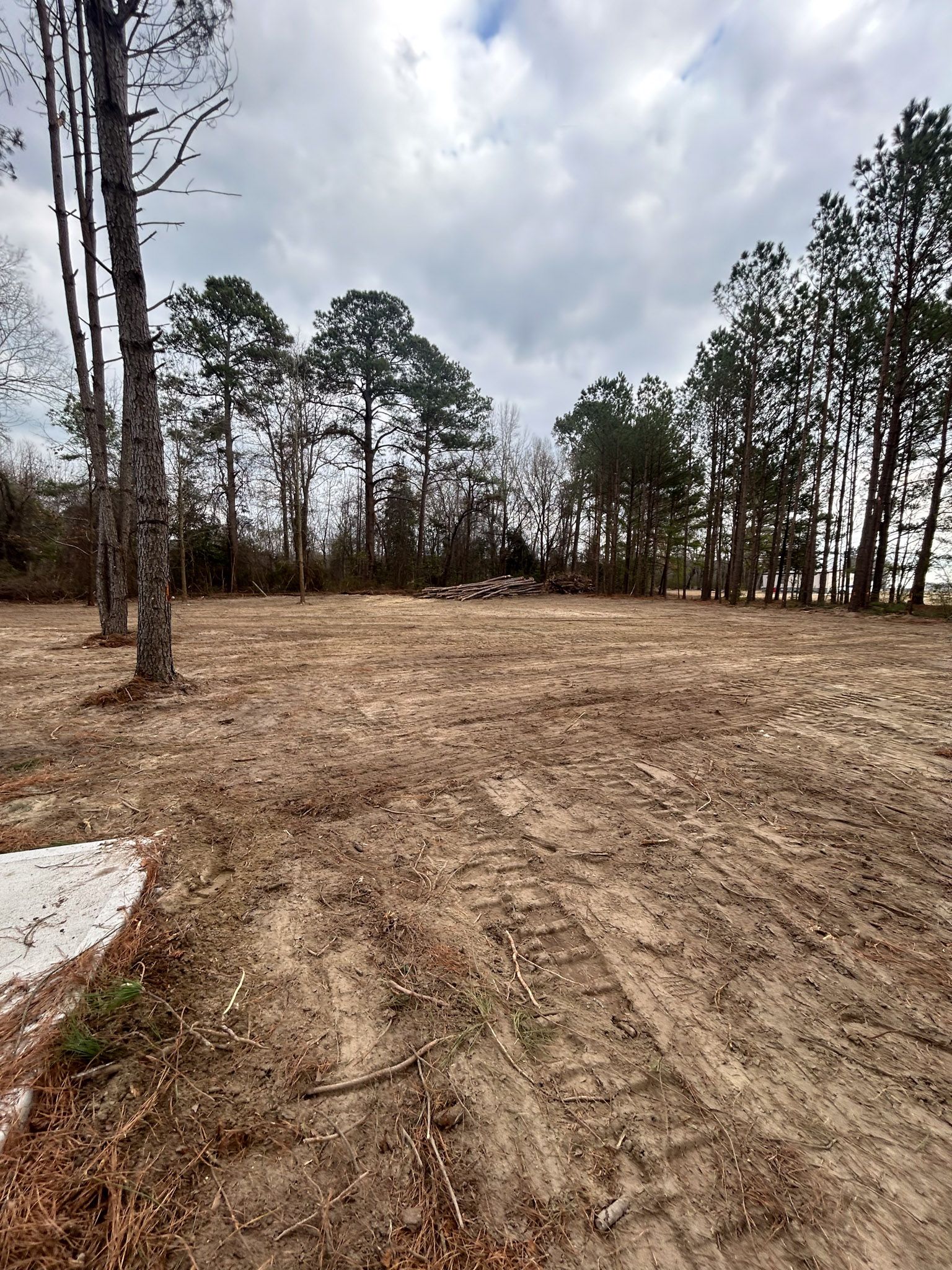 Cleared dirt lot with tire tracks, surrounded by pine trees under a cloudy sky.