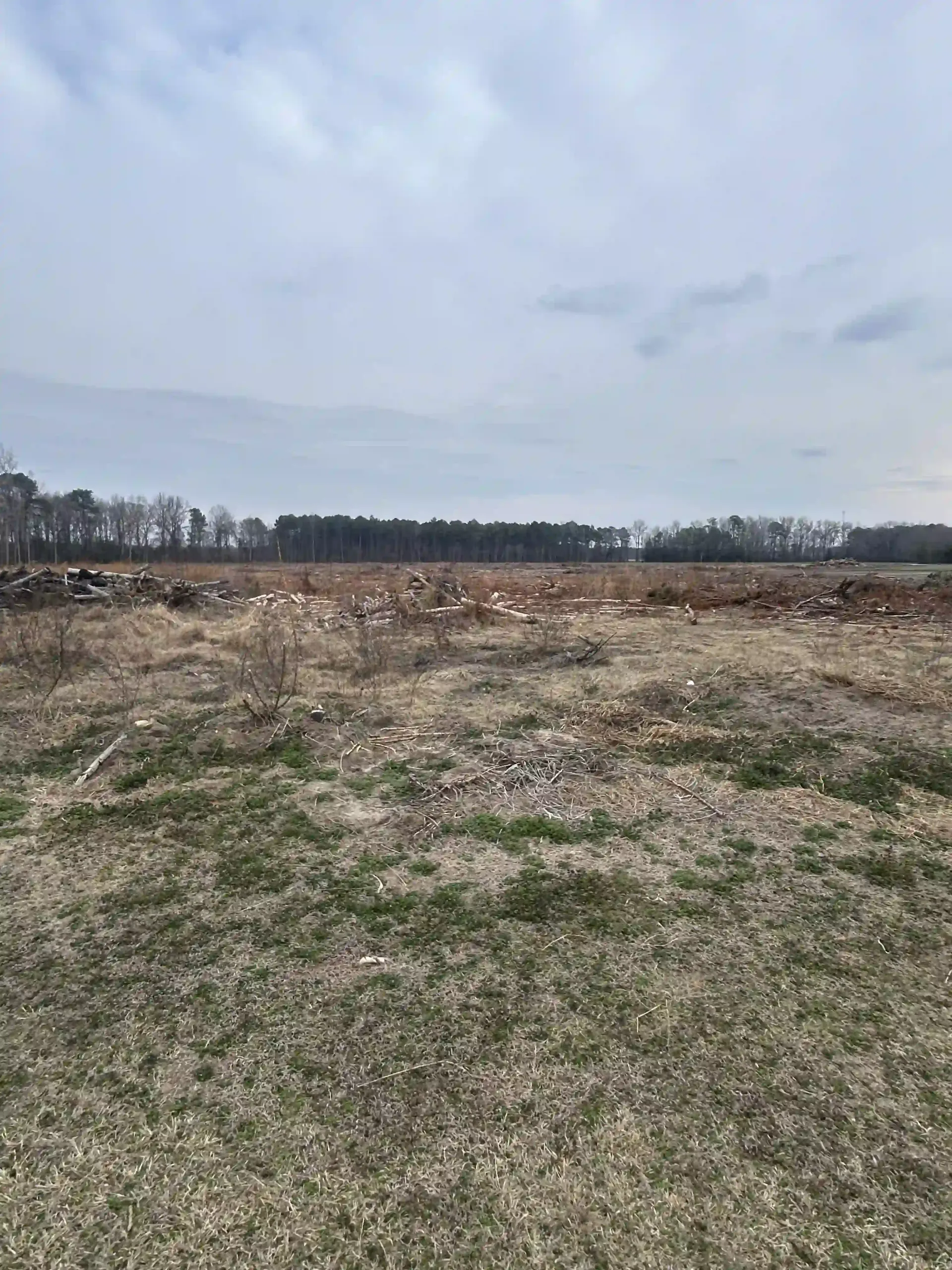 Open grassy field under a cloudy sky with a distant tree line