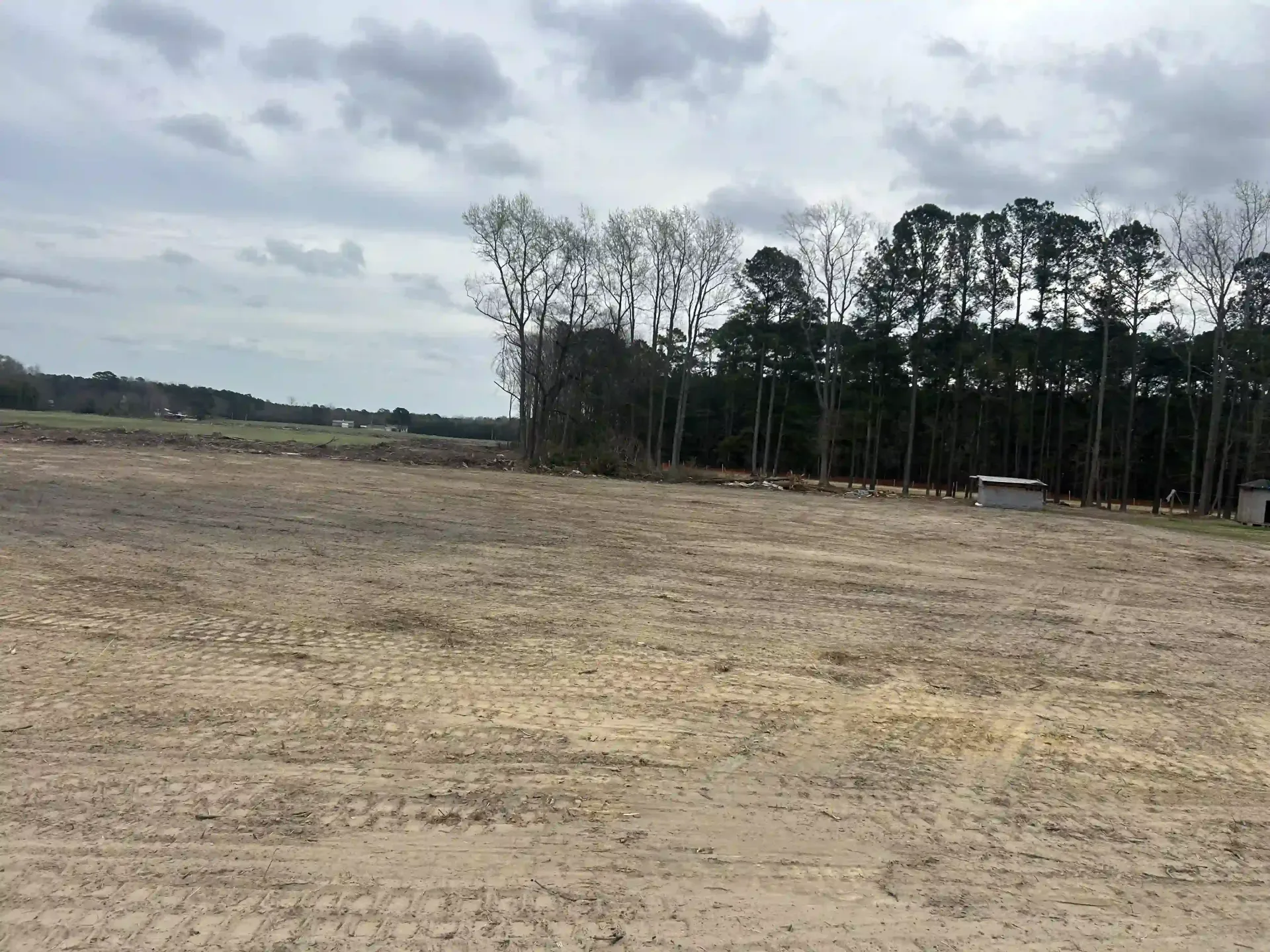 Open dirt field under cloudy sky with a line of tall trees in the distance
