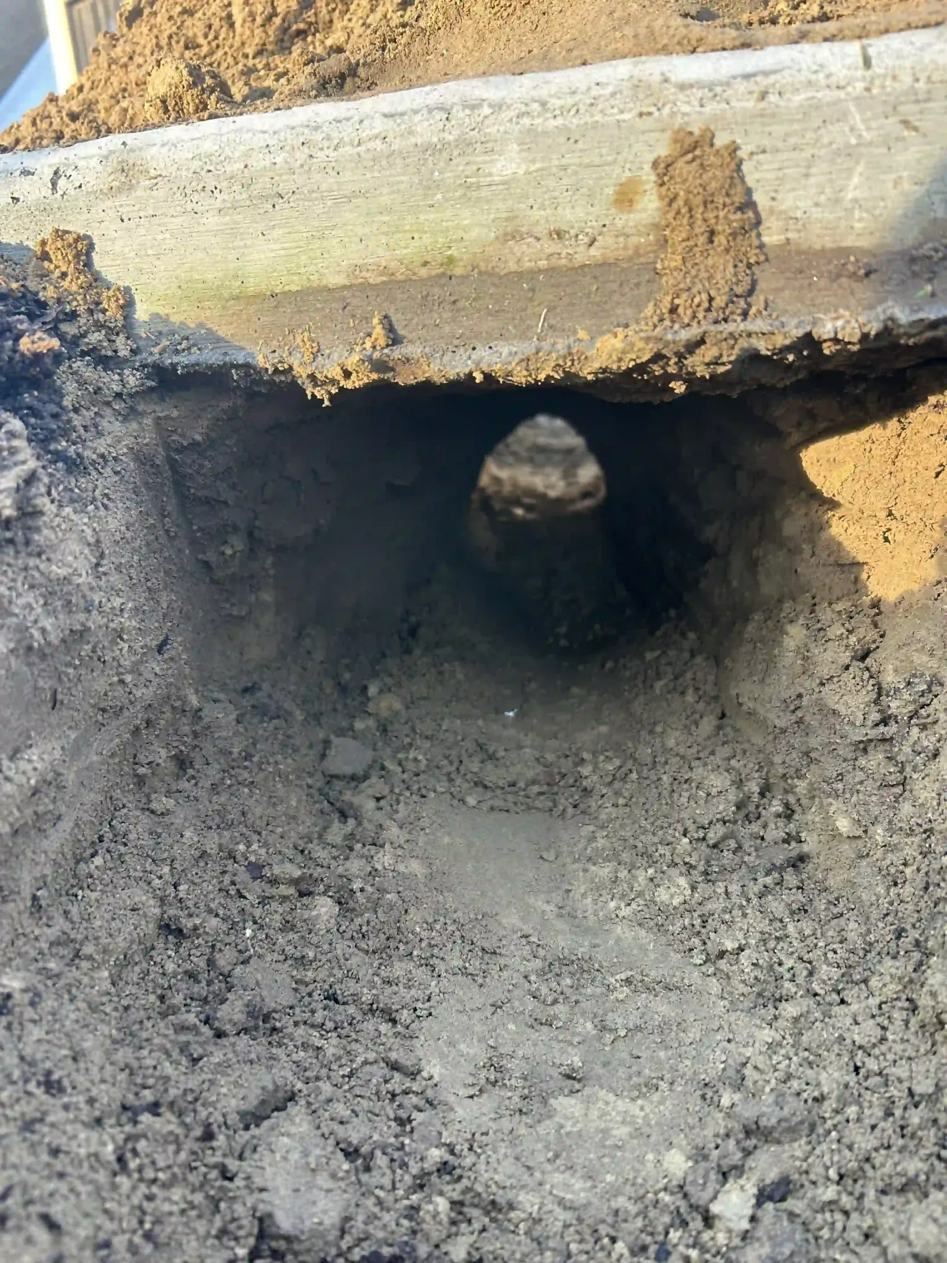 Concrete culvert opening under a dirt embankment, with muddy ground in front