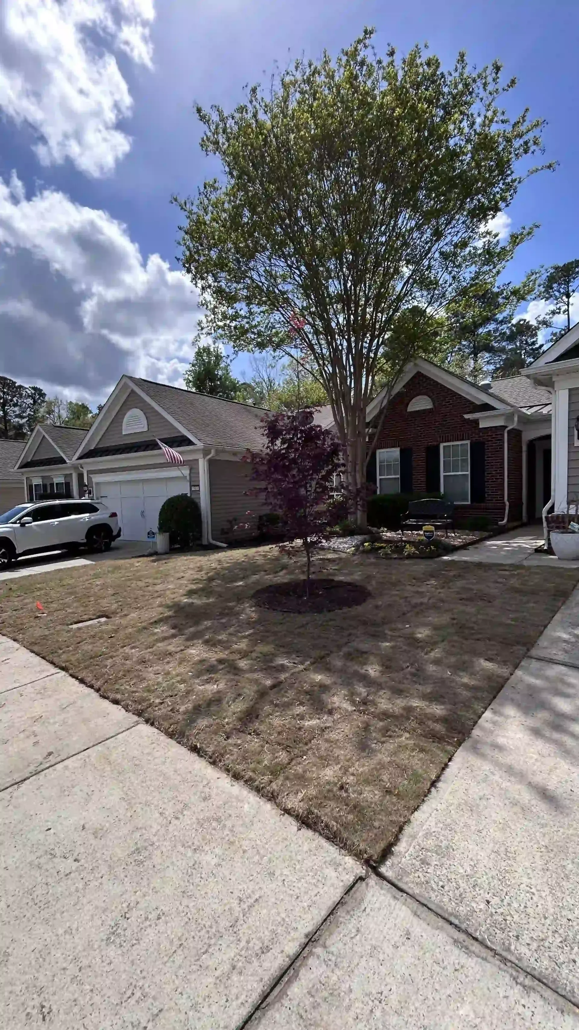 Suburban front yard with a large tree, dry grass, and a driveway beside neighboring houses under a partly cloudy sky