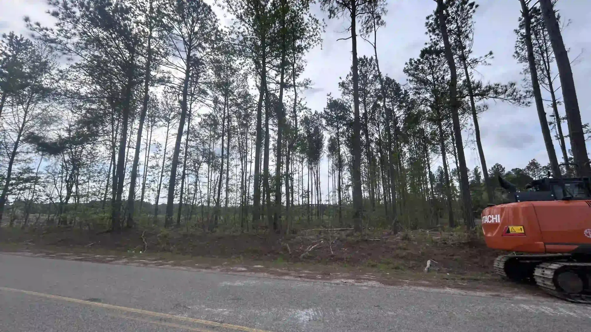 Roadside scene with tall trees and an orange utility vehicle at the right edge.
