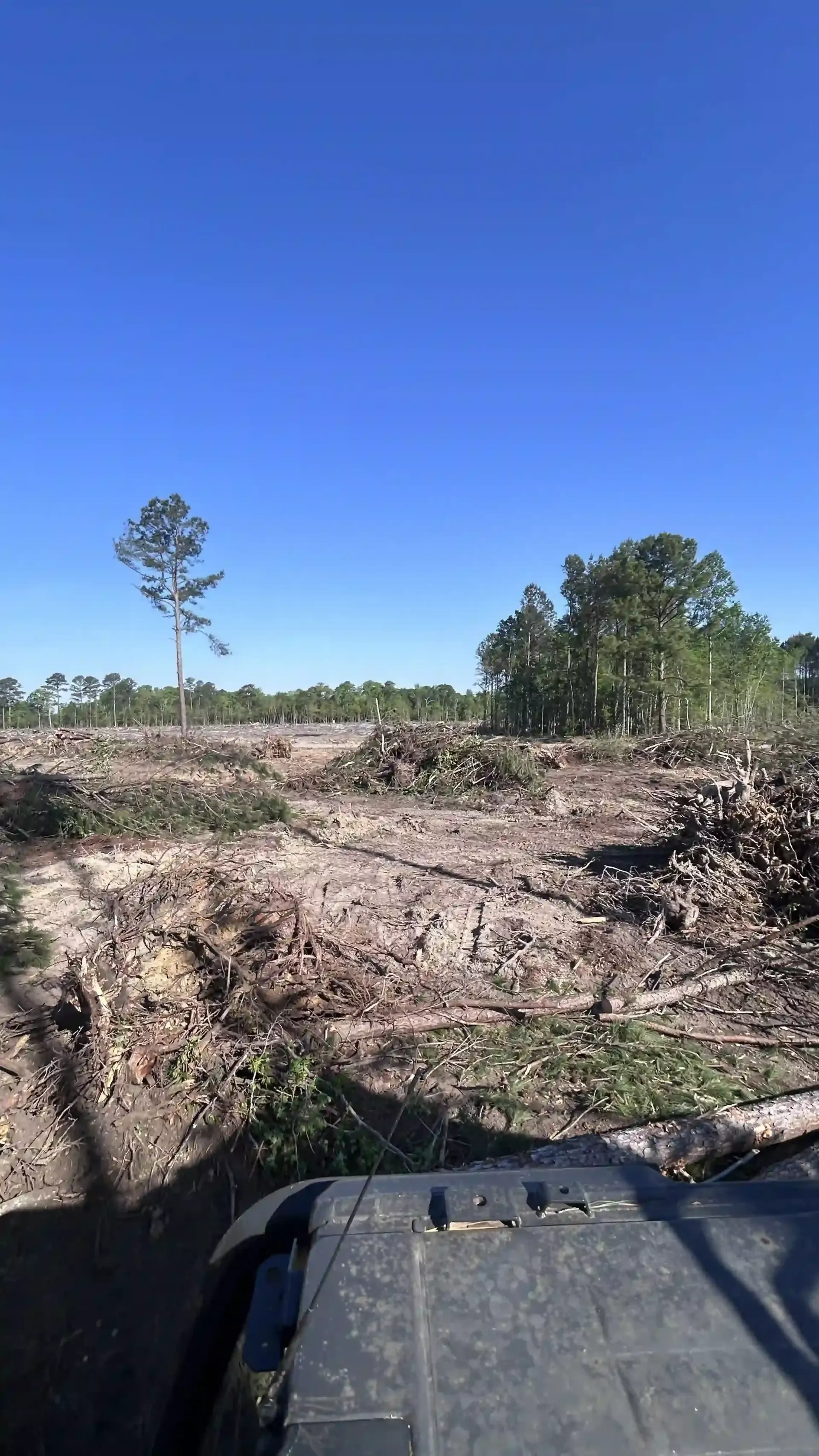 Rugged clearing with cut brush and trees under a clear blue sky, viewed from an off-road vehicle front